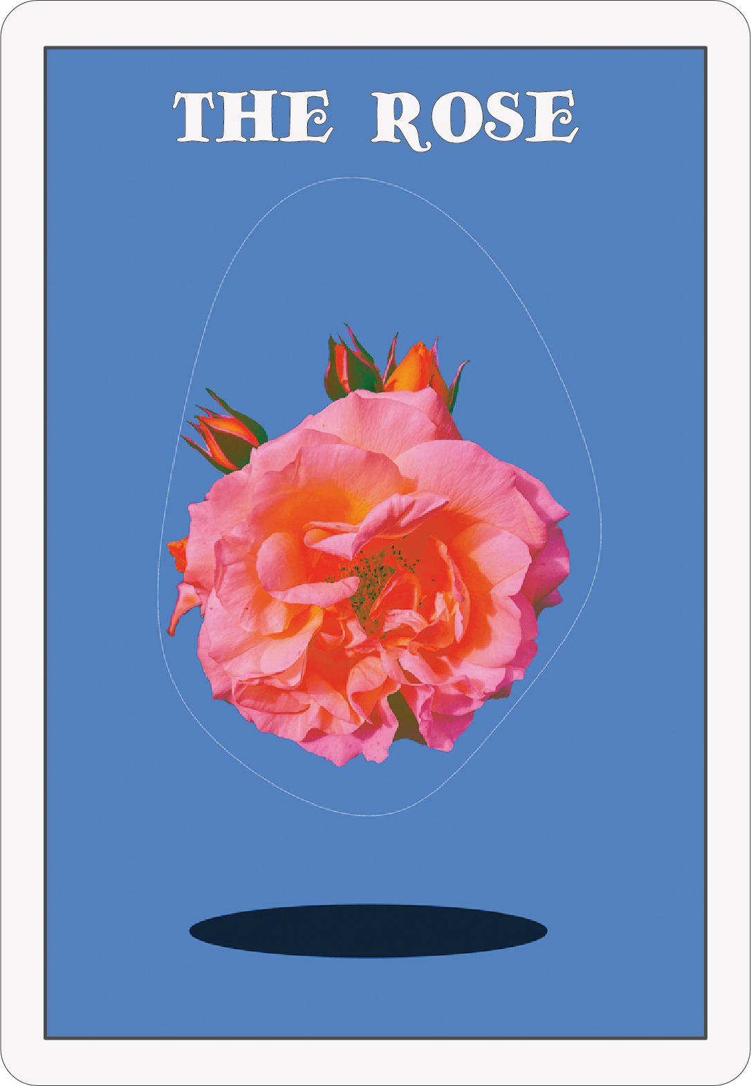 79. the rose card 04.10.25
