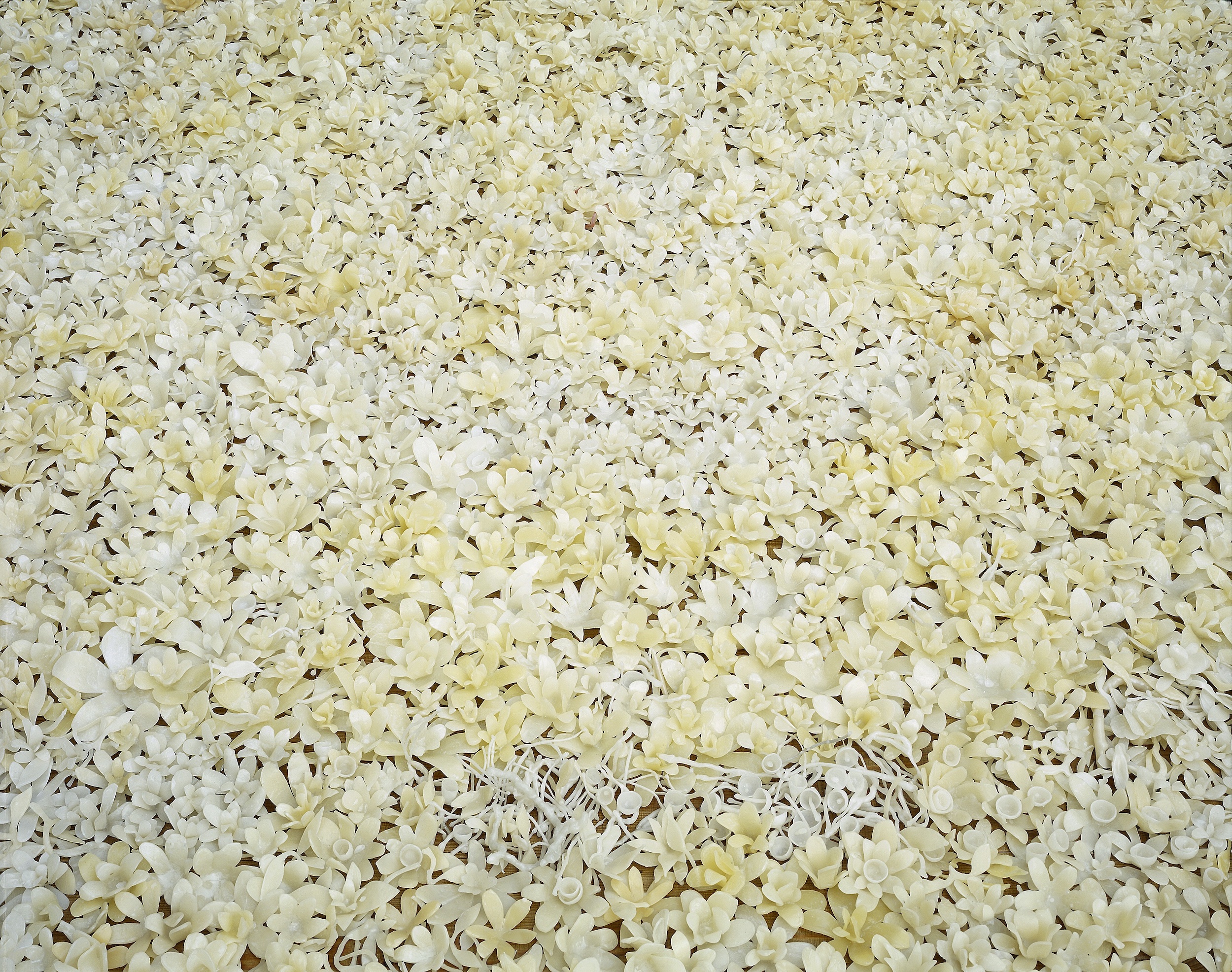  Full Blown, 2003/2004 (Installation view, detail)