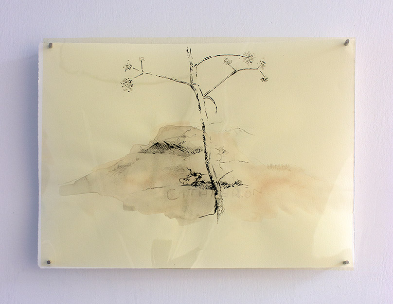 Cithaeron, drawing: acrylic, ink, pigment, pencil - 9" x 7