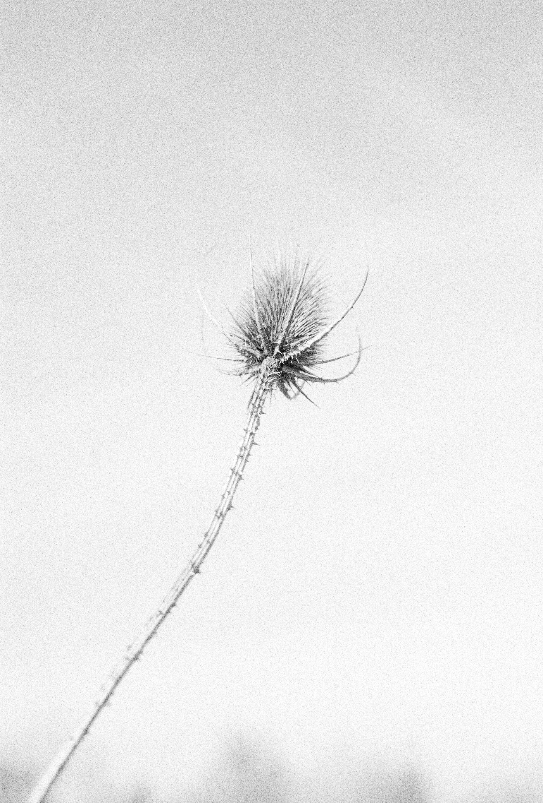 Portraits for Apprentis d'Auteuil, Lacadène, FR, 2021