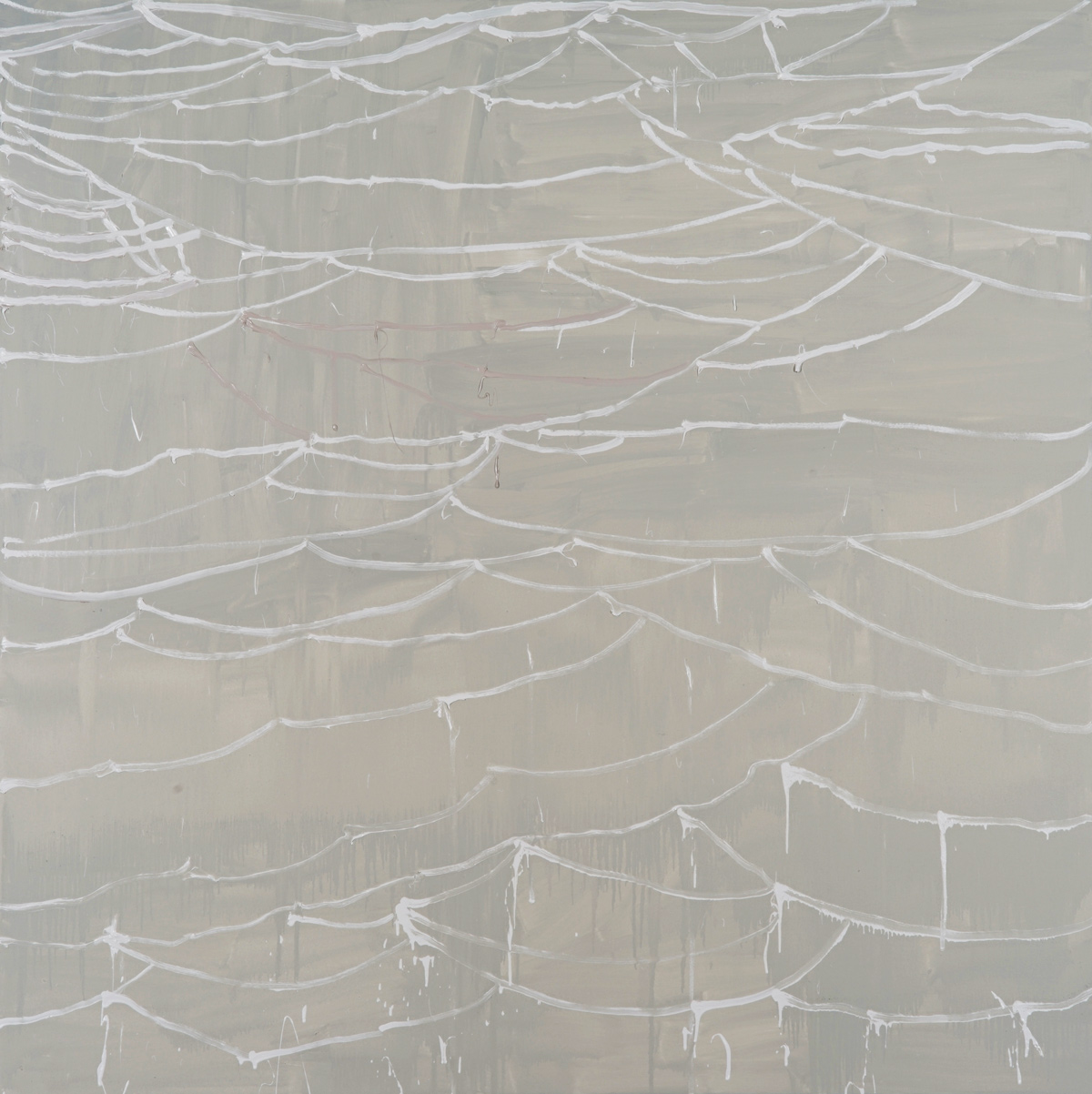 Leonardo, 2016, oil on Canvas, 72x72