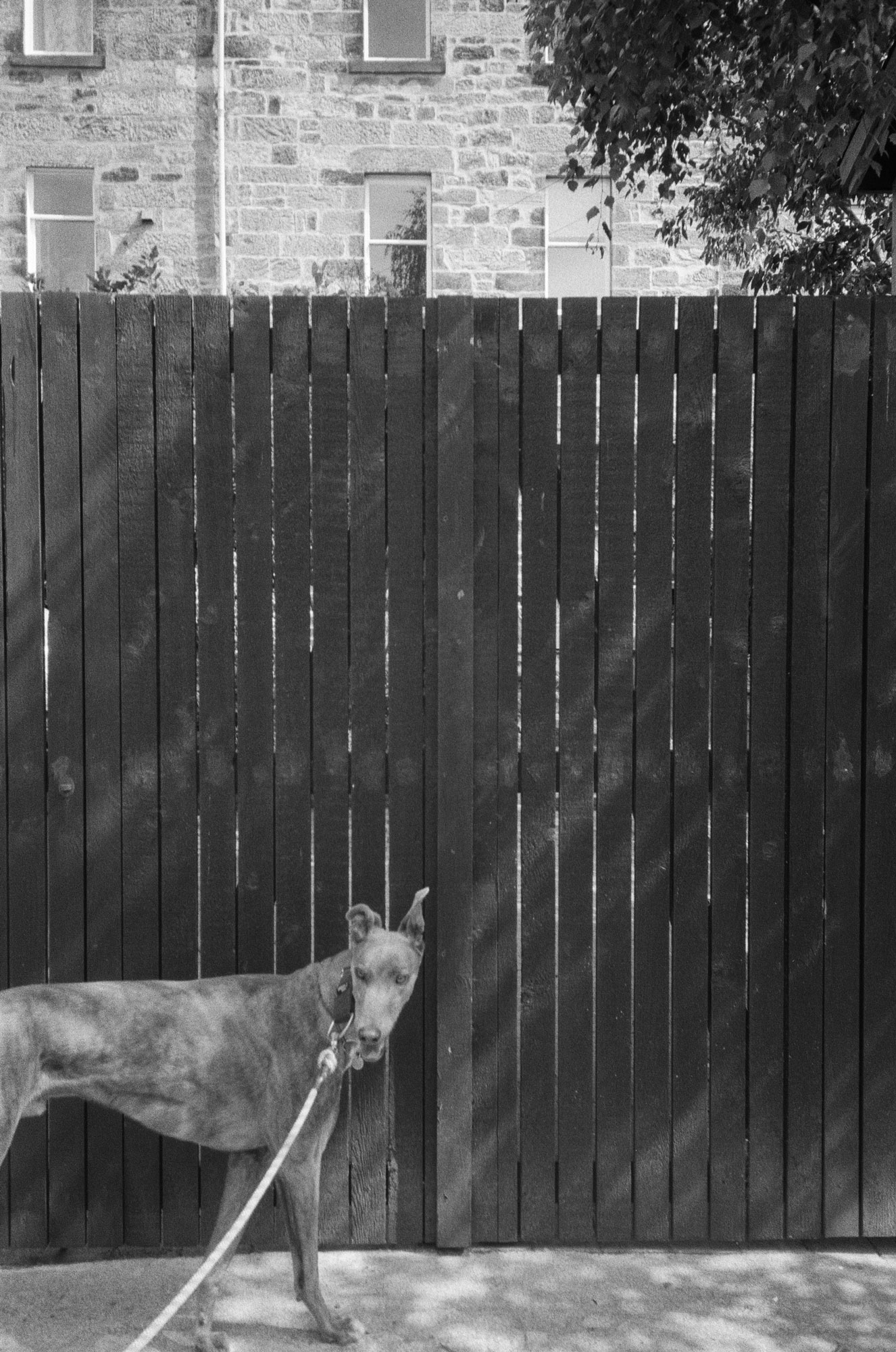 Olympus AF-10 / Ilford HP5 400