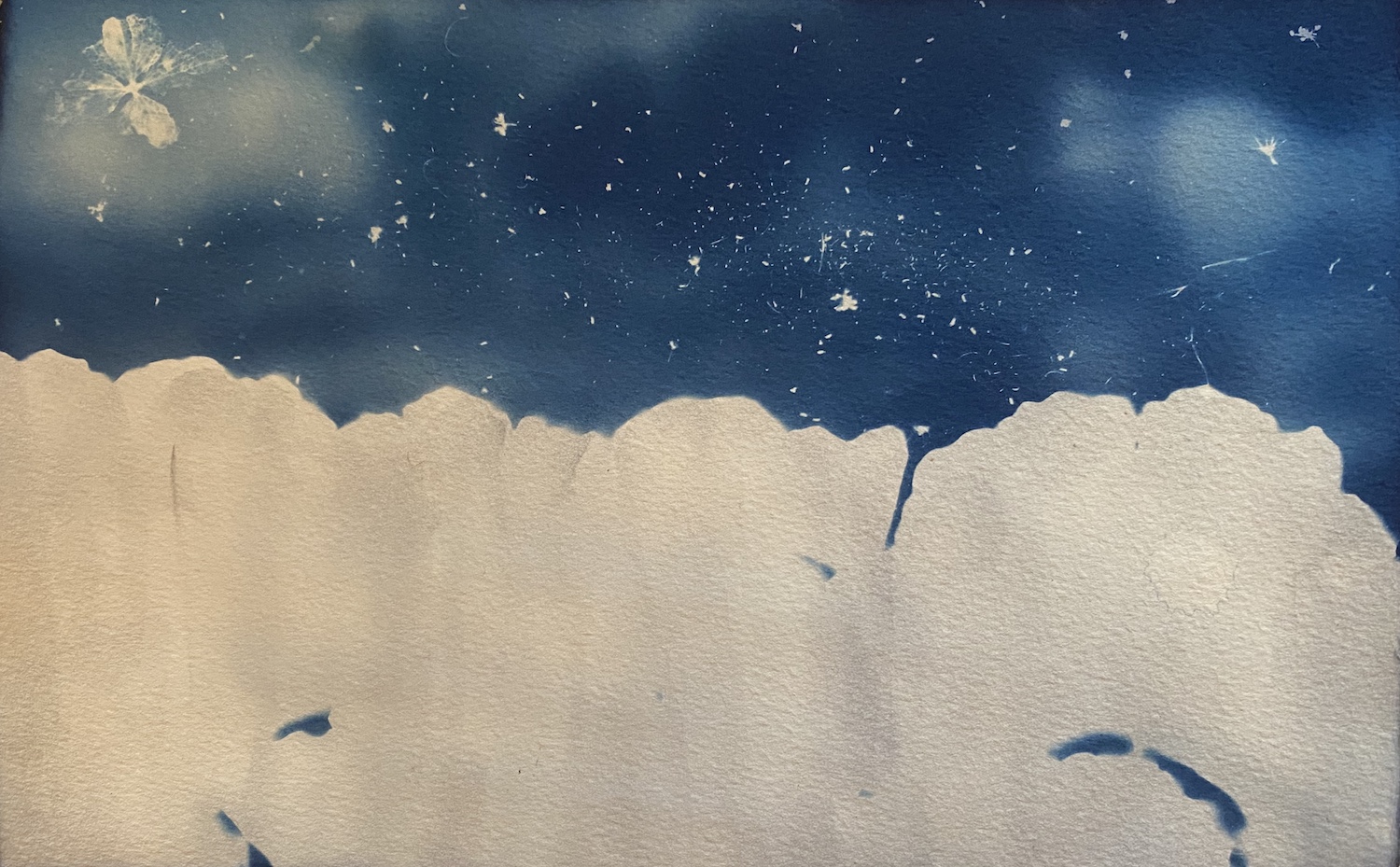 Oh future yes I am (Earthgang) 2020, Cyanotype on paper