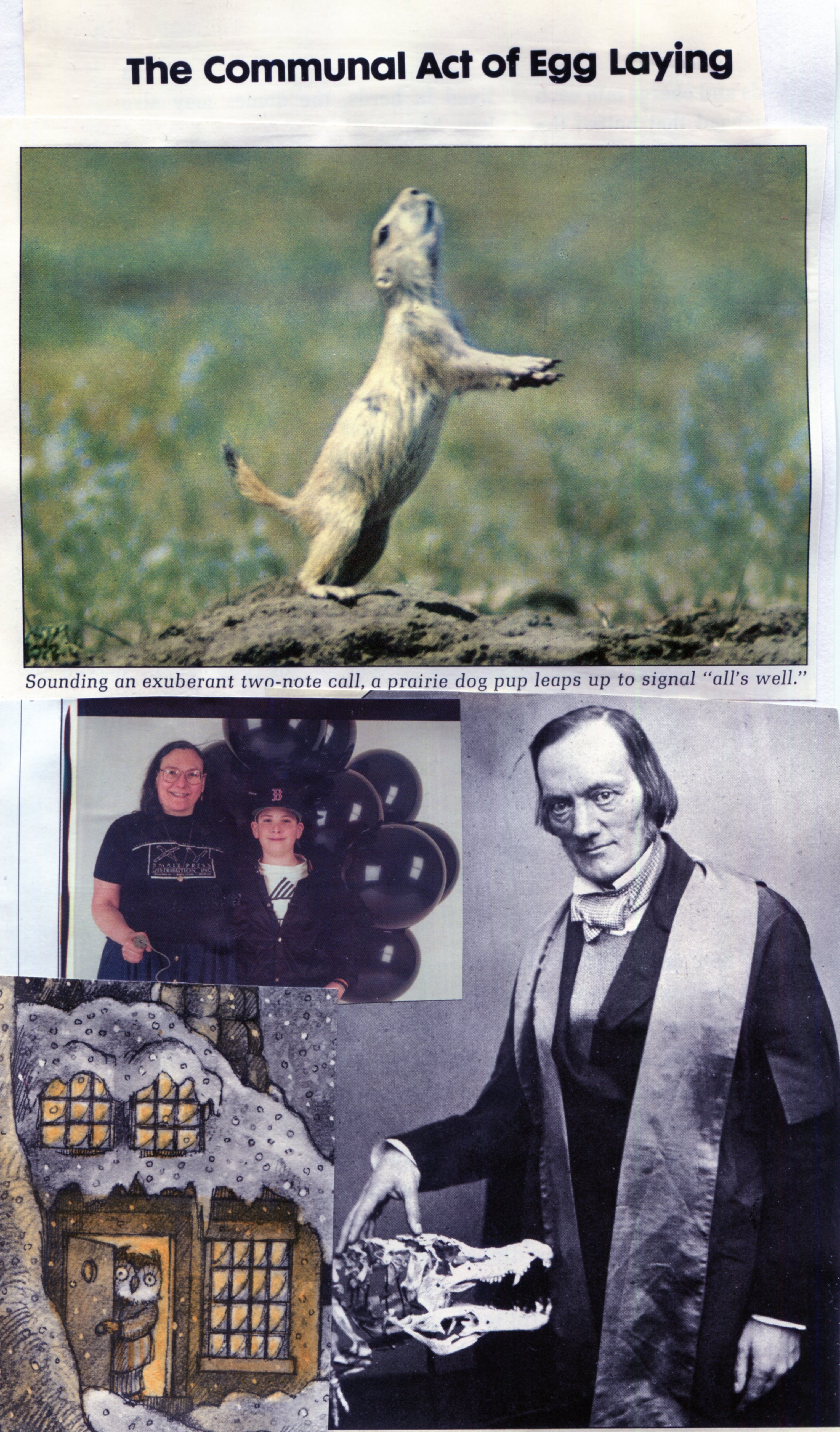 Any Occasion Greeting