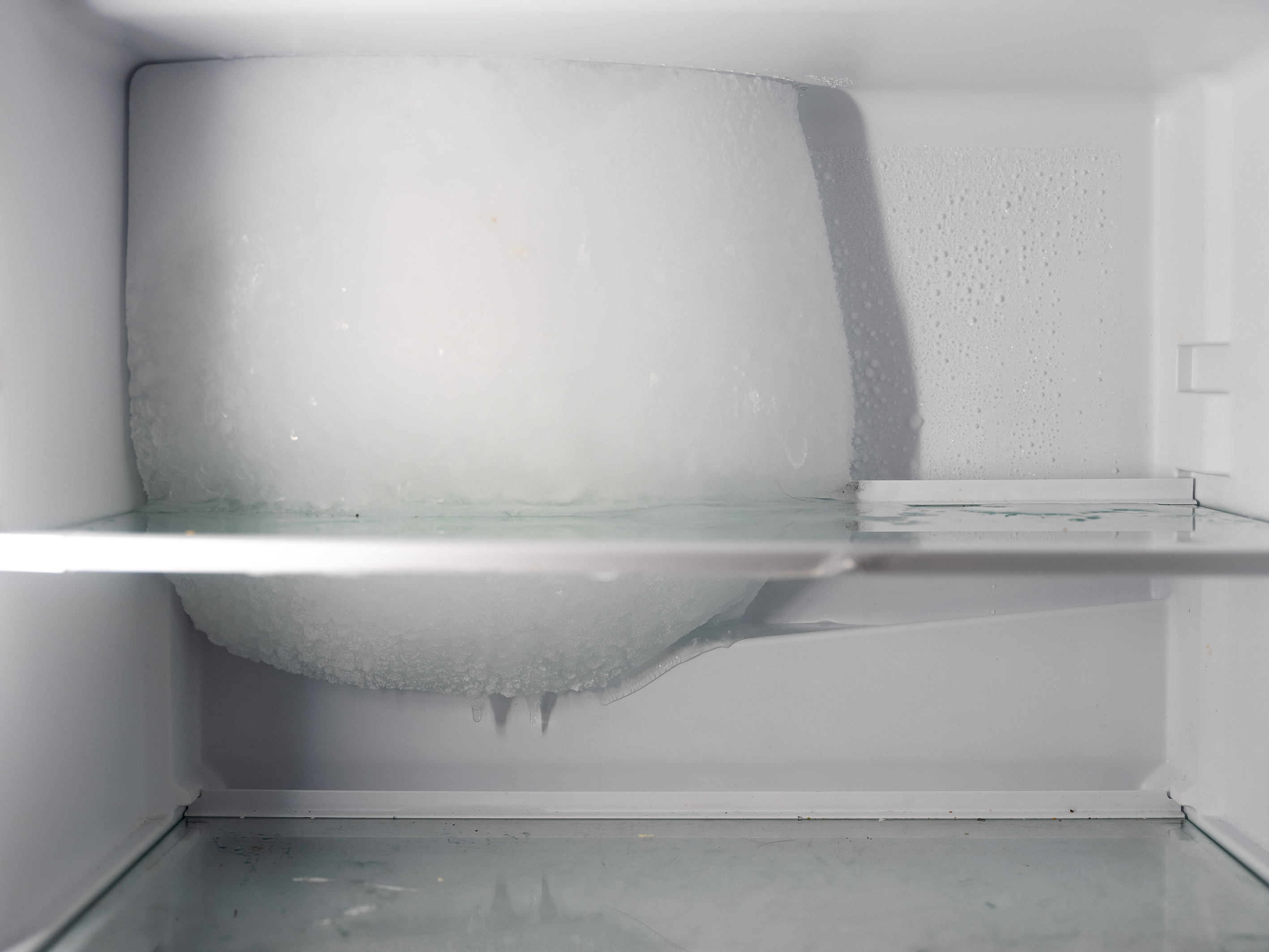 Untitled (Narcissistic), 2024