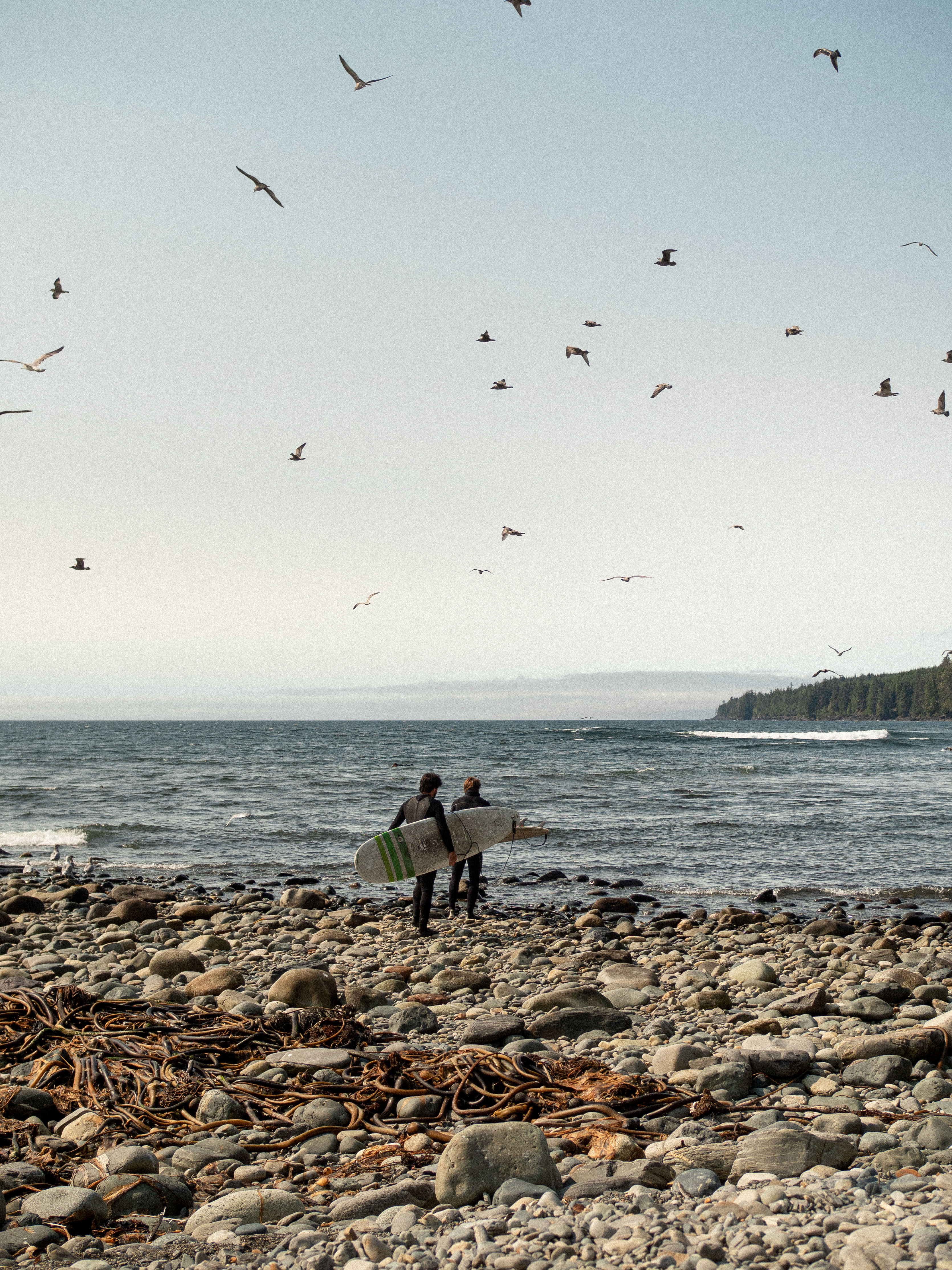 Vancouver Island 2024