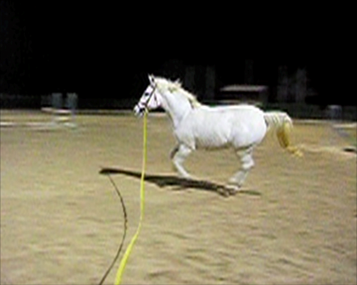 Trabajar o Caballo describiendo un círculo, 2009 [still]Single-channel video projection, color, silent8 sec. loop