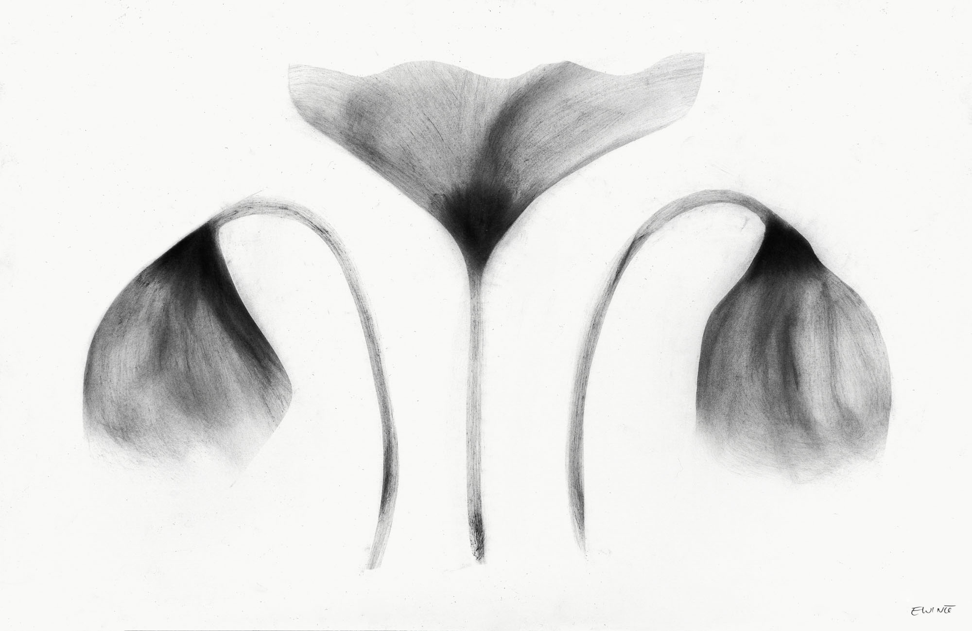 № 49 - 17 x 11" - $600