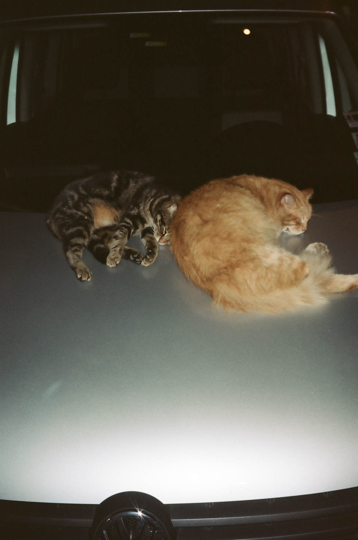 ‘On Europe’, Istanbul, 2014