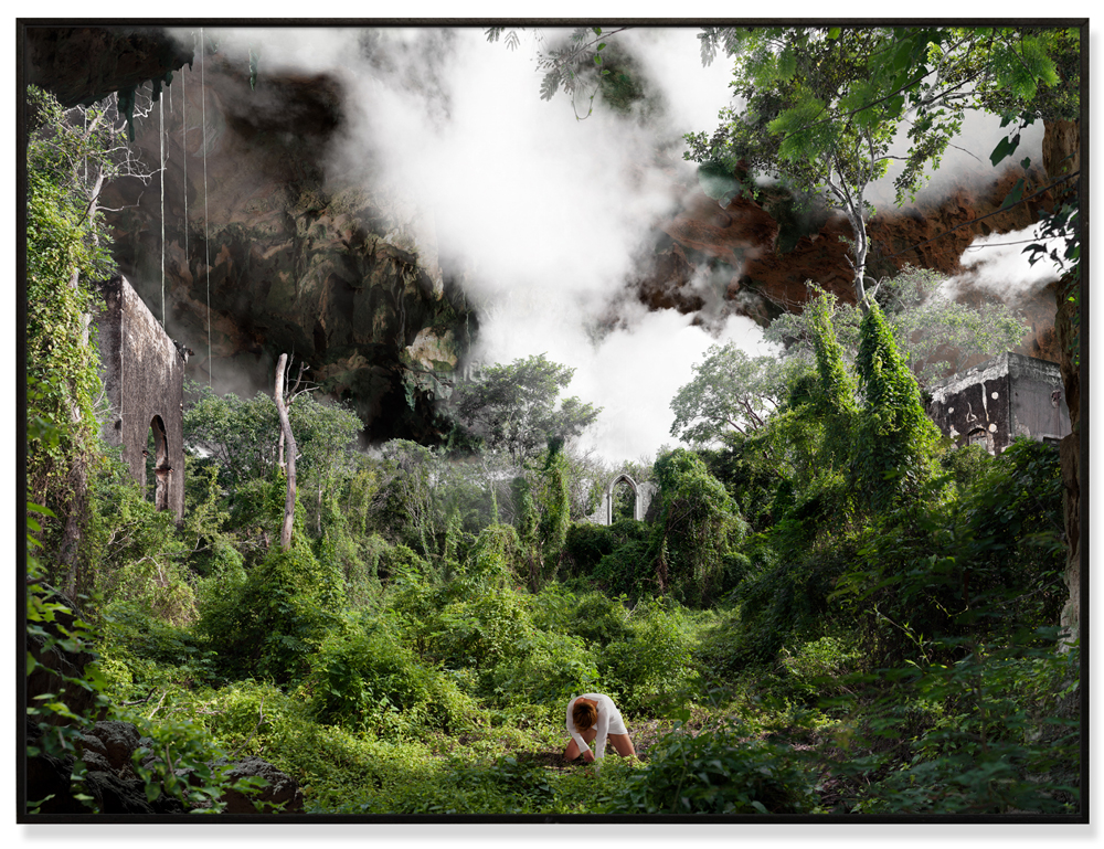 "Jungle" - 112x84cm / 80x60cm - 2016