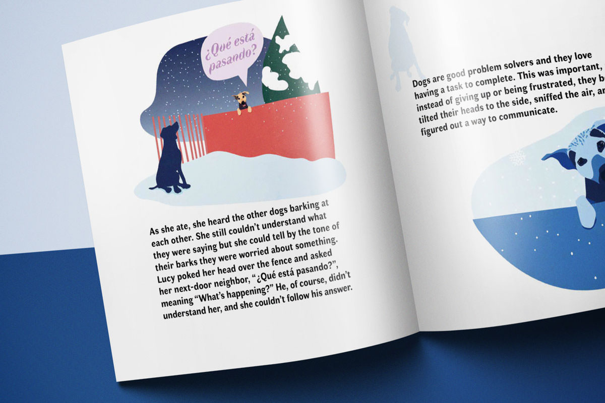 This is Lucy (Author/Illustrator)