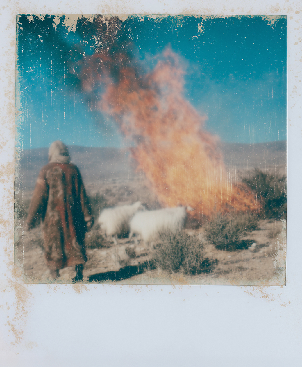 Moses Encounters the Burning Bush