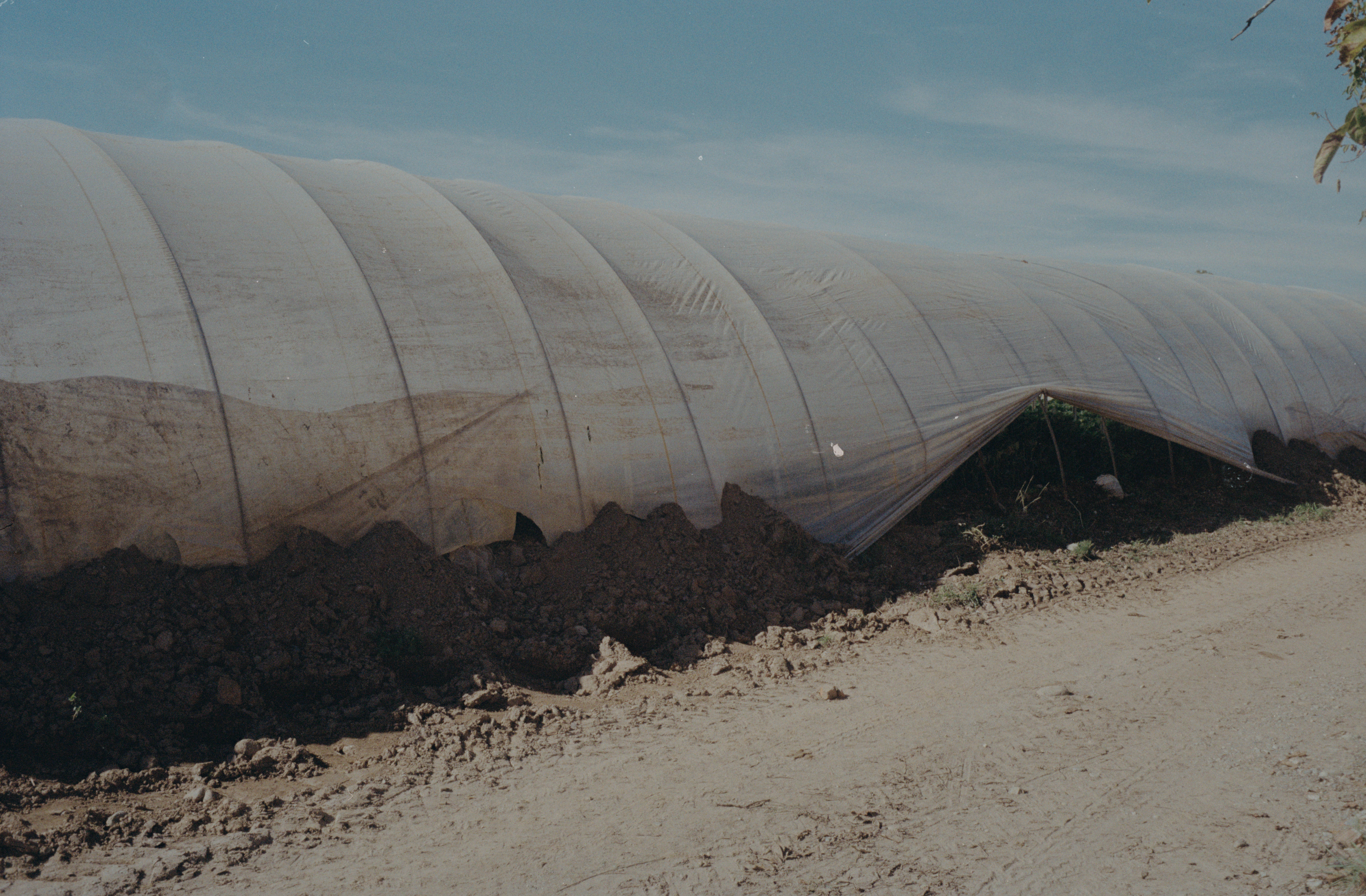 Domenico Laterza, Rurales, 2021