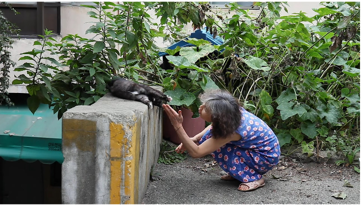 Hong Lee Hyun Sook 홍이현숙