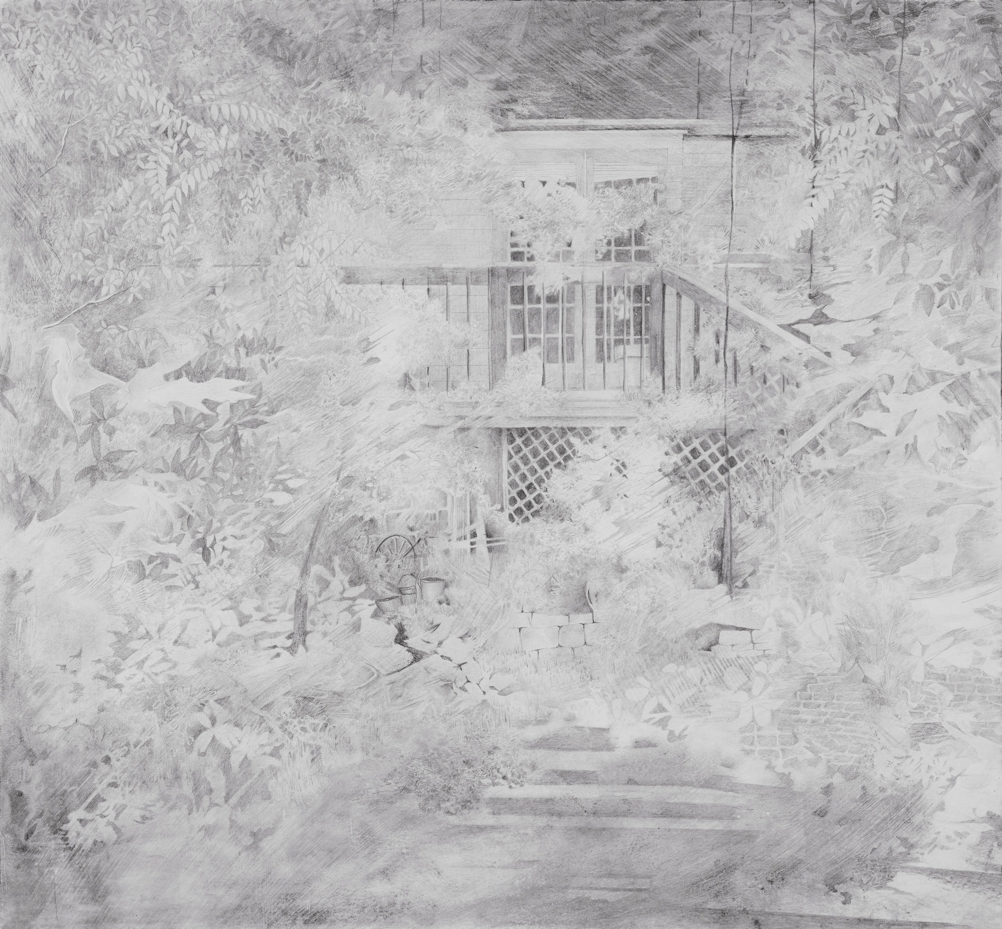 rosedale backyard, late summer | silverpoint on paper | 22 x 22 inches