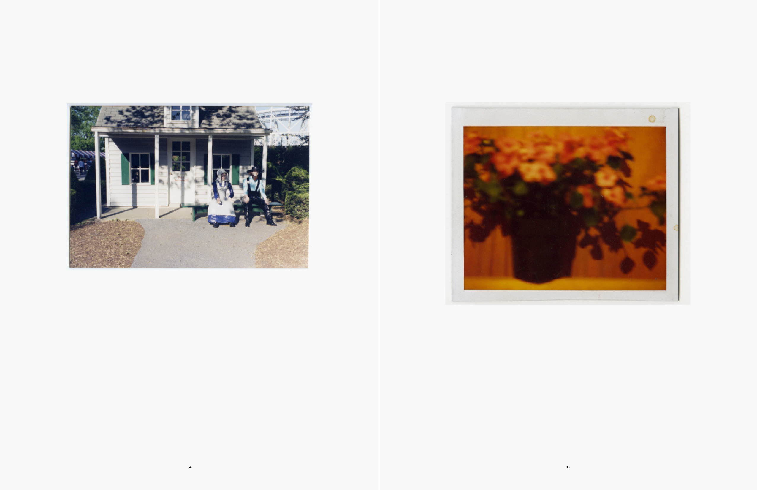 Amish Country, PA; Vase with Flowers