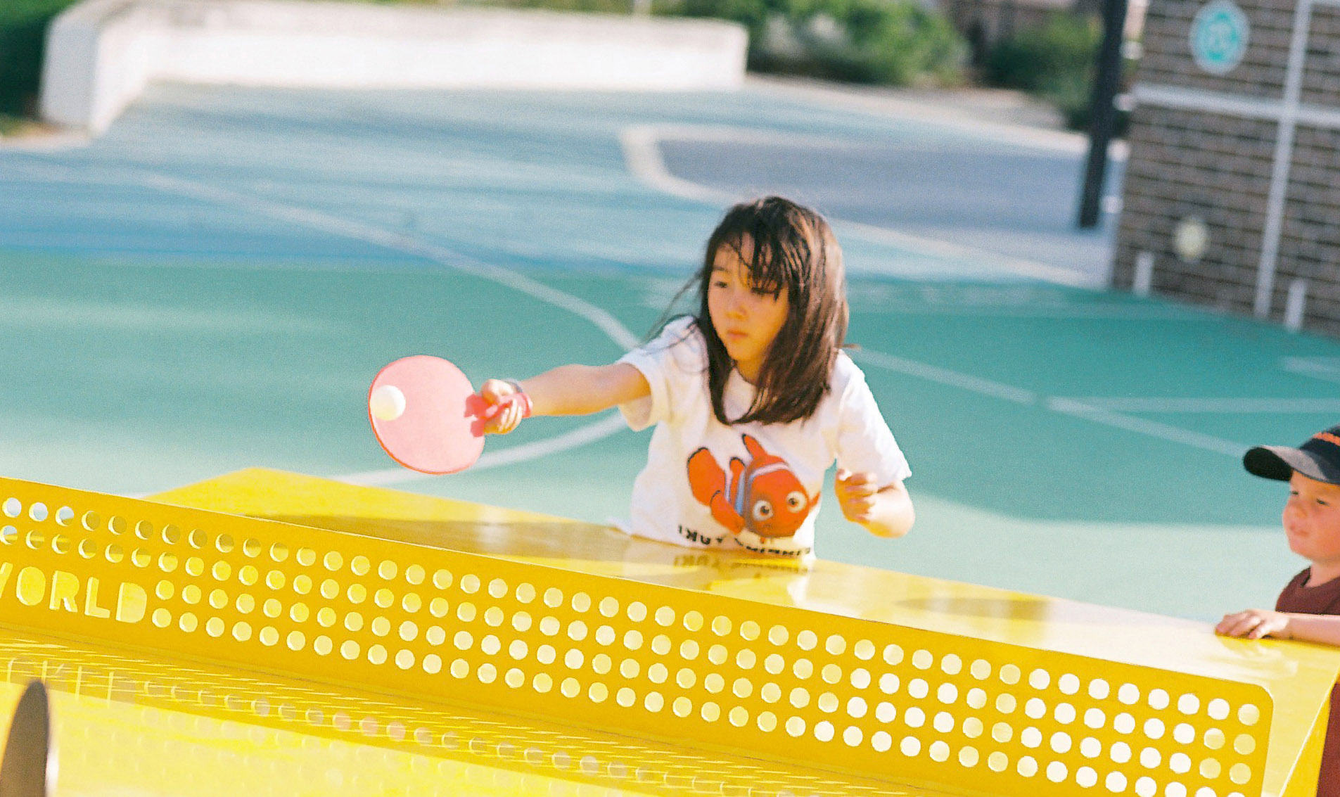 Table tennis tables for schools — POPP