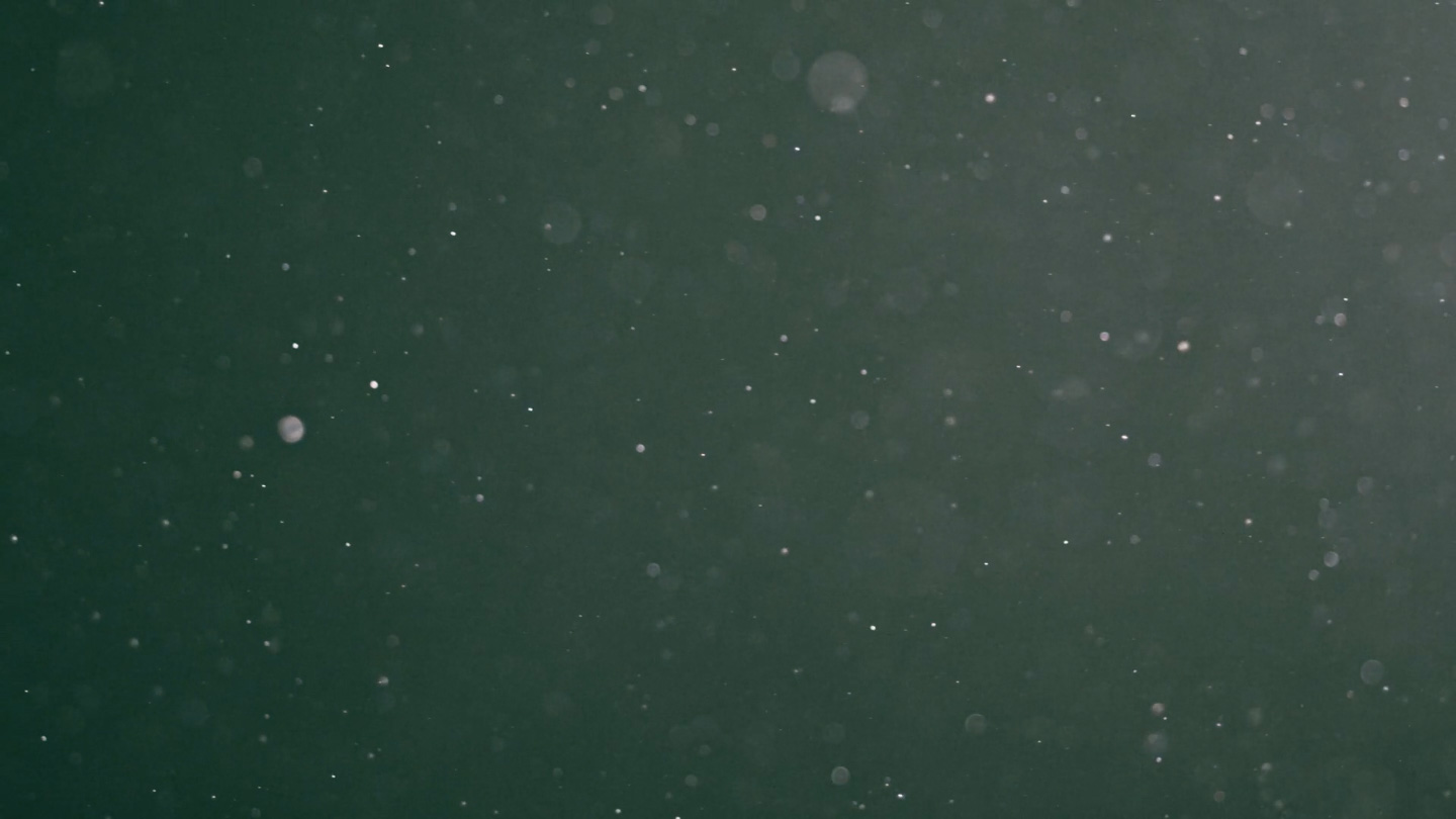 Dust Lockdown / Video Still