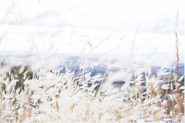 j cub + ibrahim rasheed