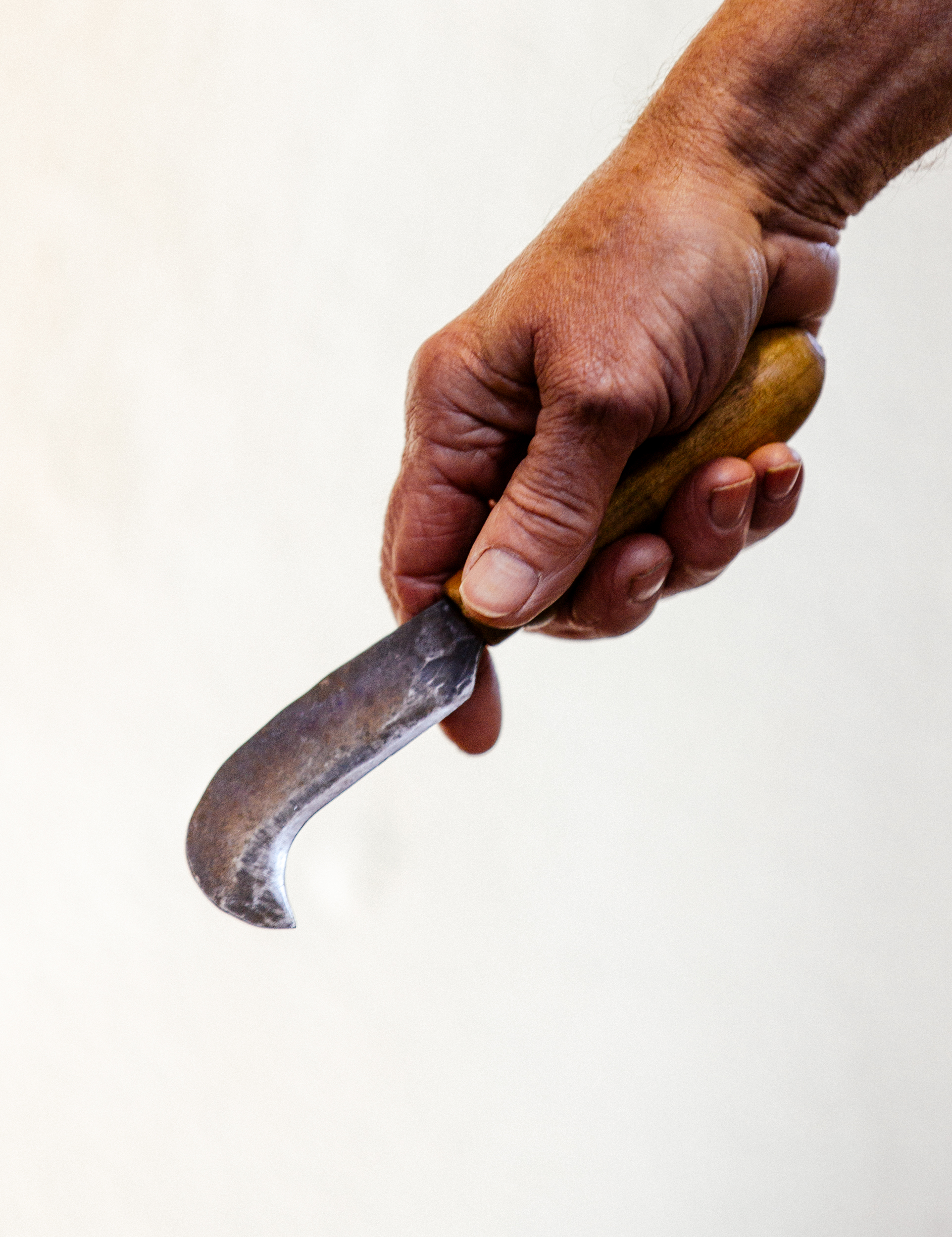 Joe Hogan x Telegraph