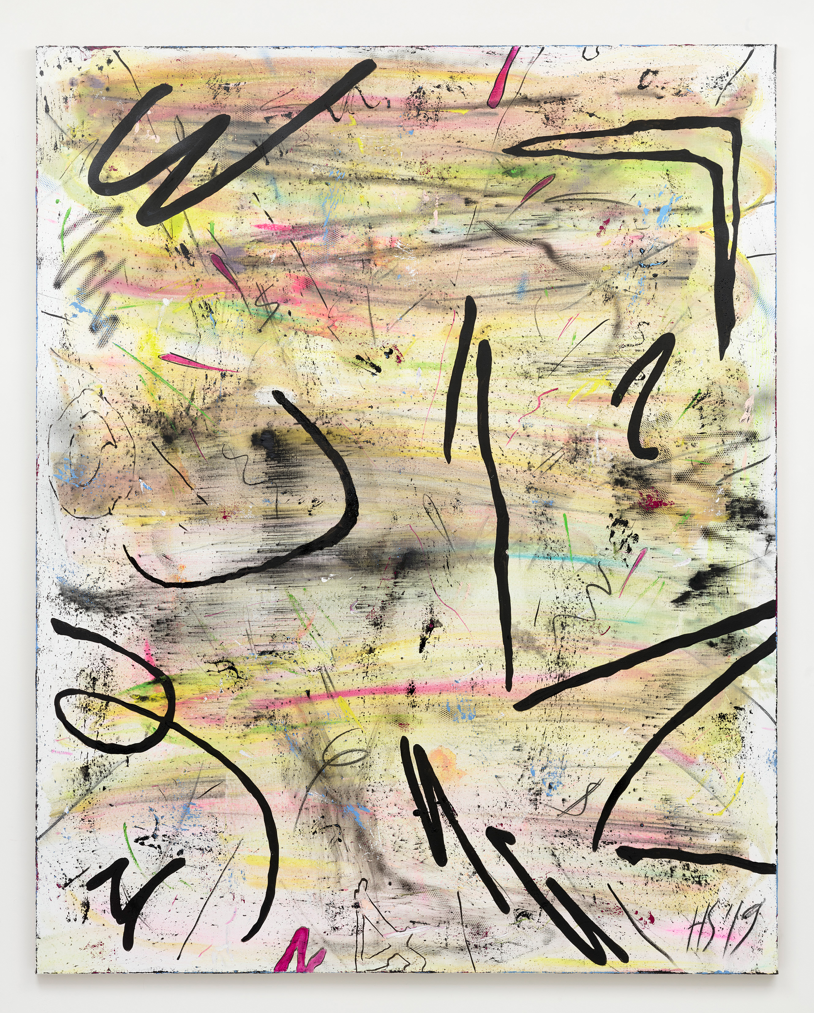 HIGH SPEED SHOT, 2019 250 x 200cmOil on Canvas