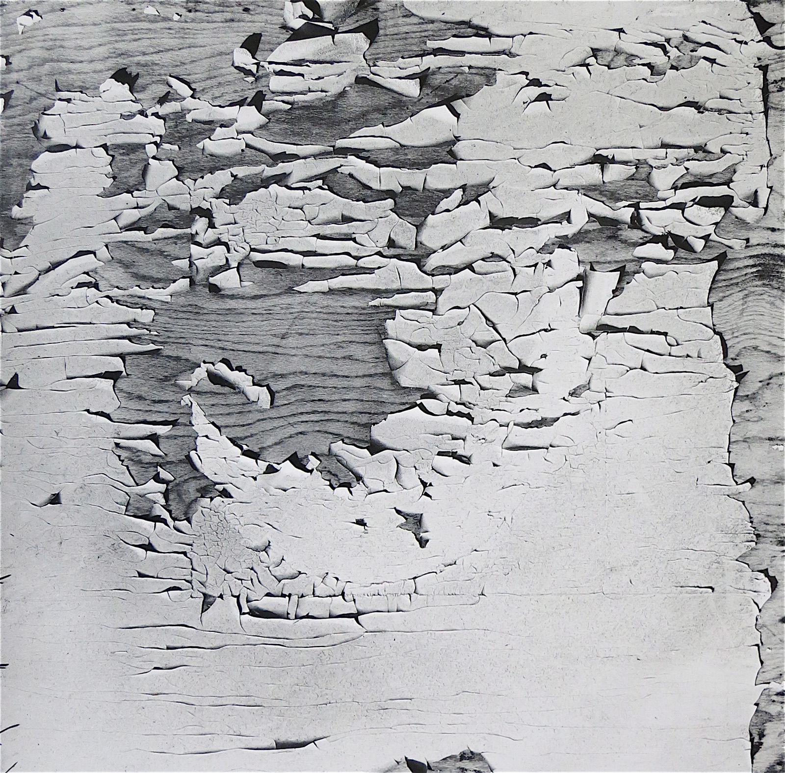 © Georges JONIAUXSalmovkatirage argentiquecontrecollé sur bois et encadré1965