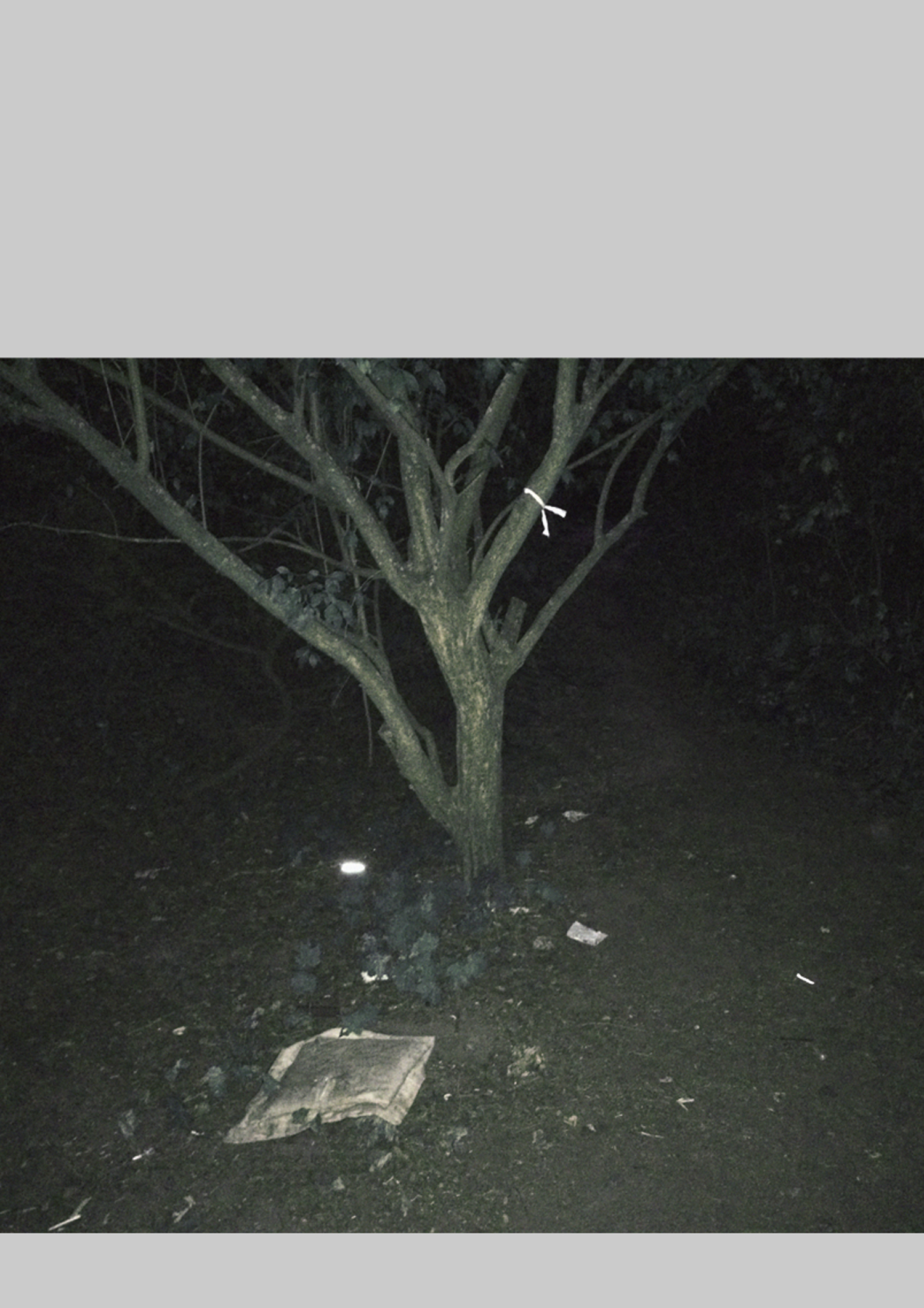 Photos Mandrake Gardens, 2020