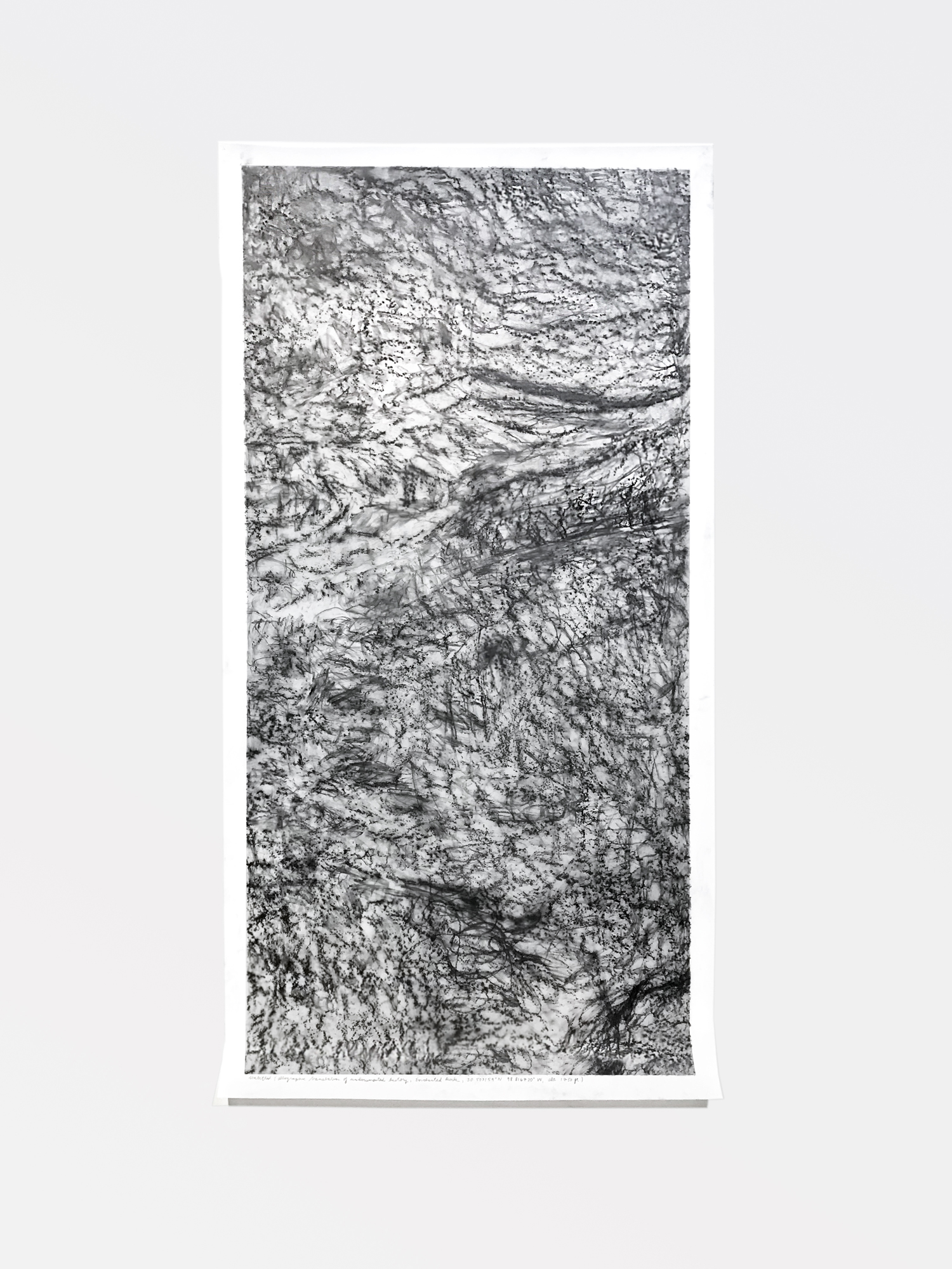 untitled (allographic translation of undocumented history, Enchanted Rock, 30.507159° N 98.816730° W, alt. 1750 ft.) 2017, rock interview with graphite on acetate, 80 x 40 inches