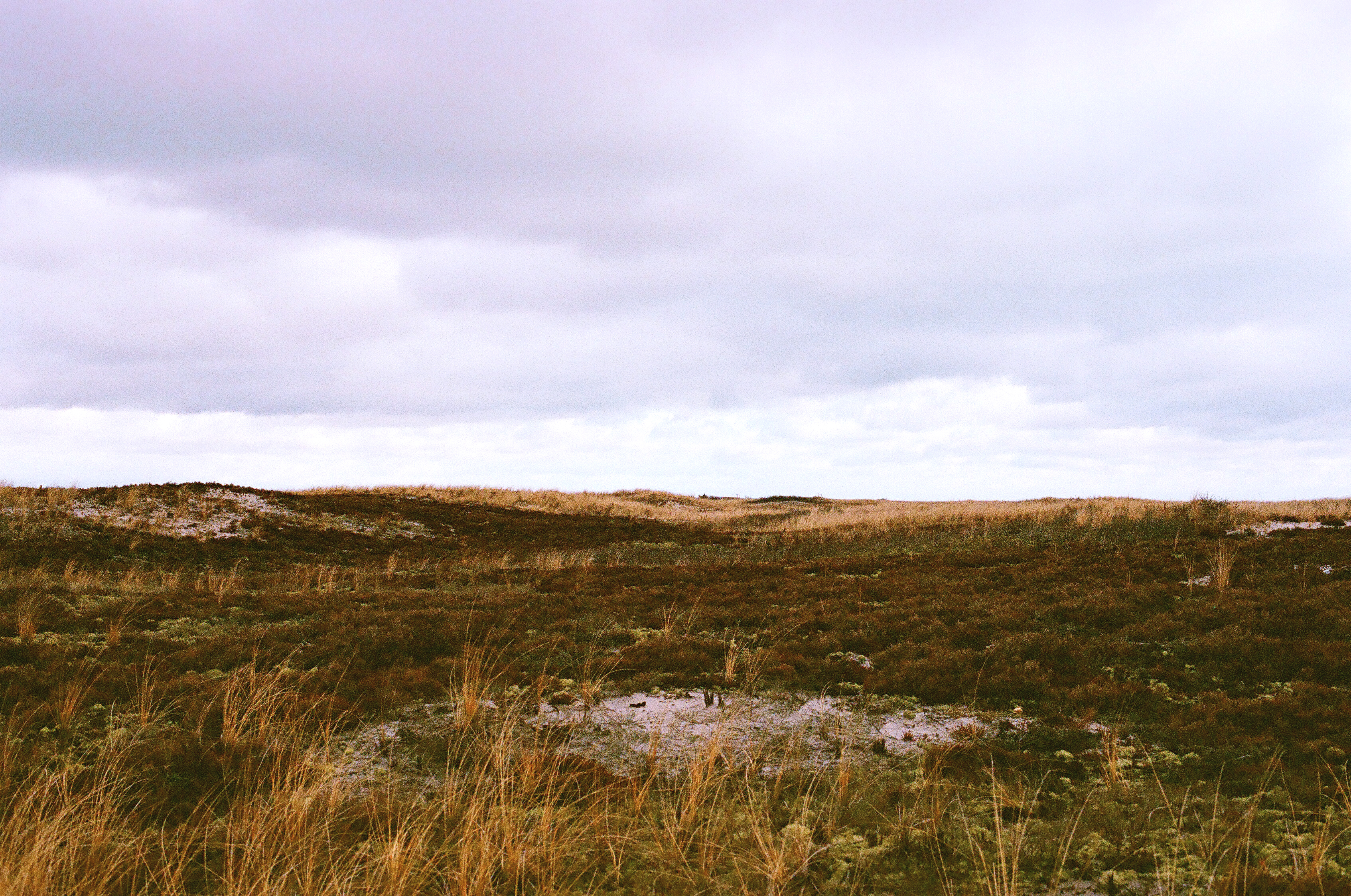 West Dennis Beach, Dennis, MA - December, 2021