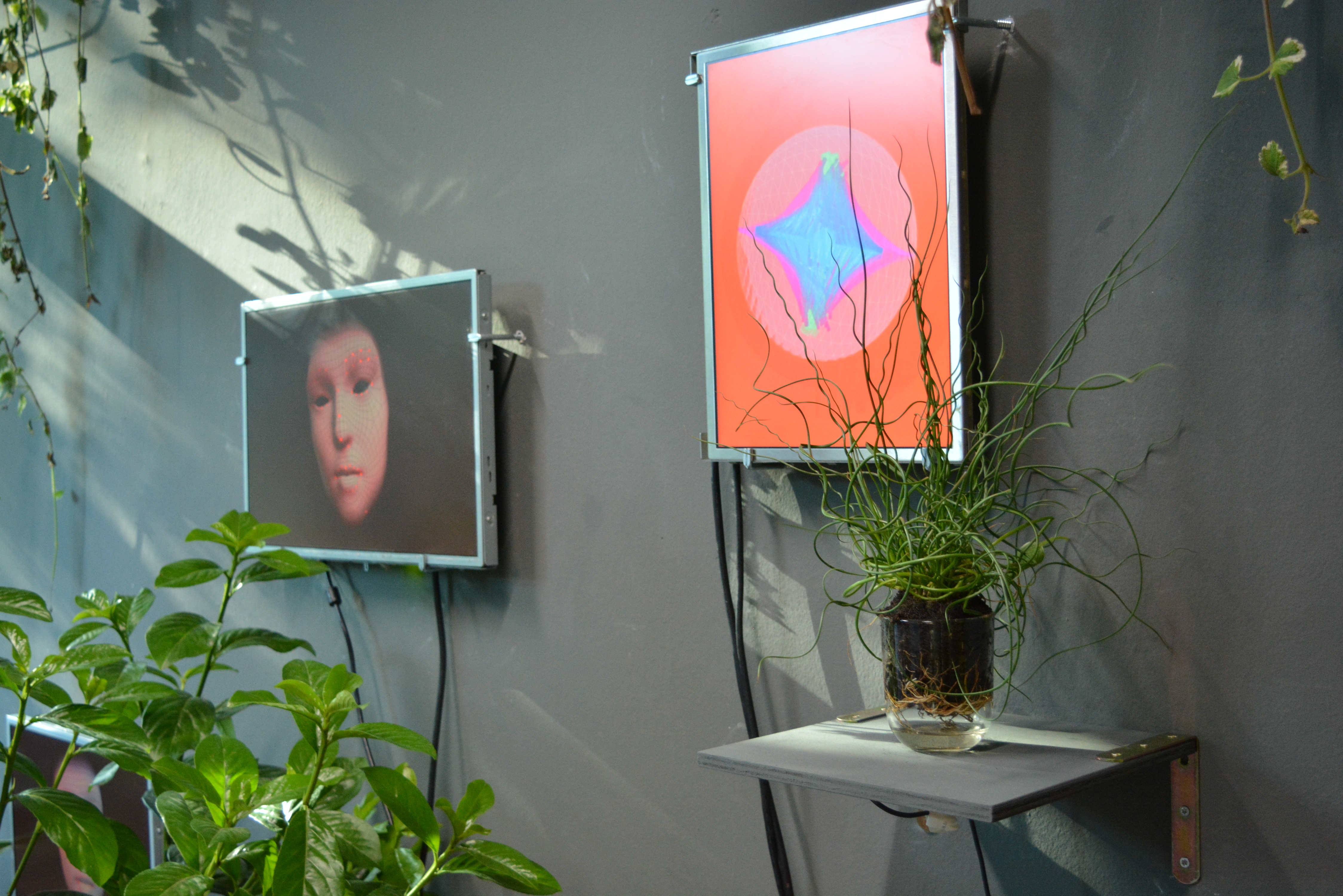 Ars Electronica (2019)