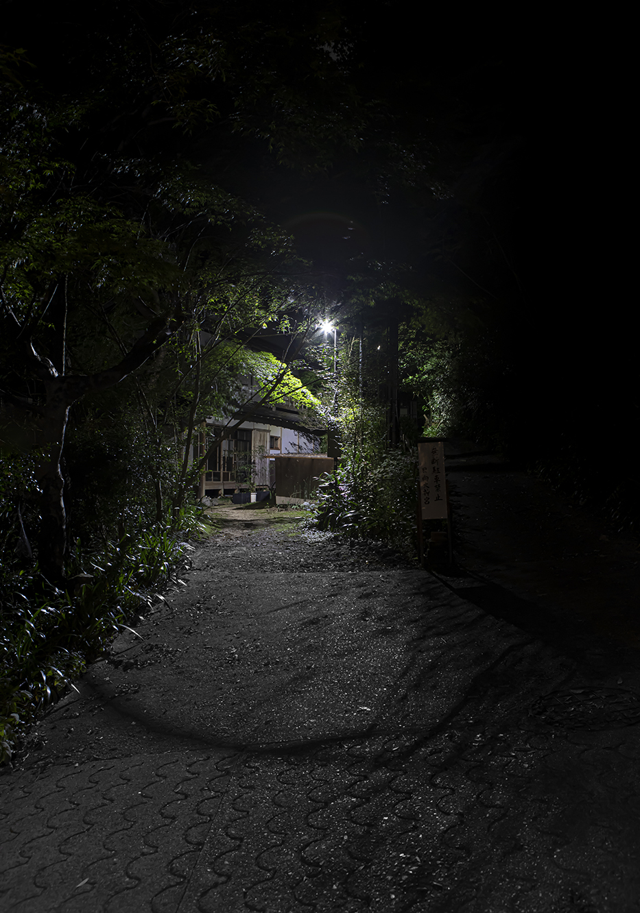 PHOTOGRAPHY RAF STUDIO  VILLA KUJOYAMA KYOTO ART CENTER SYNCHRONICITY EXHIBITION