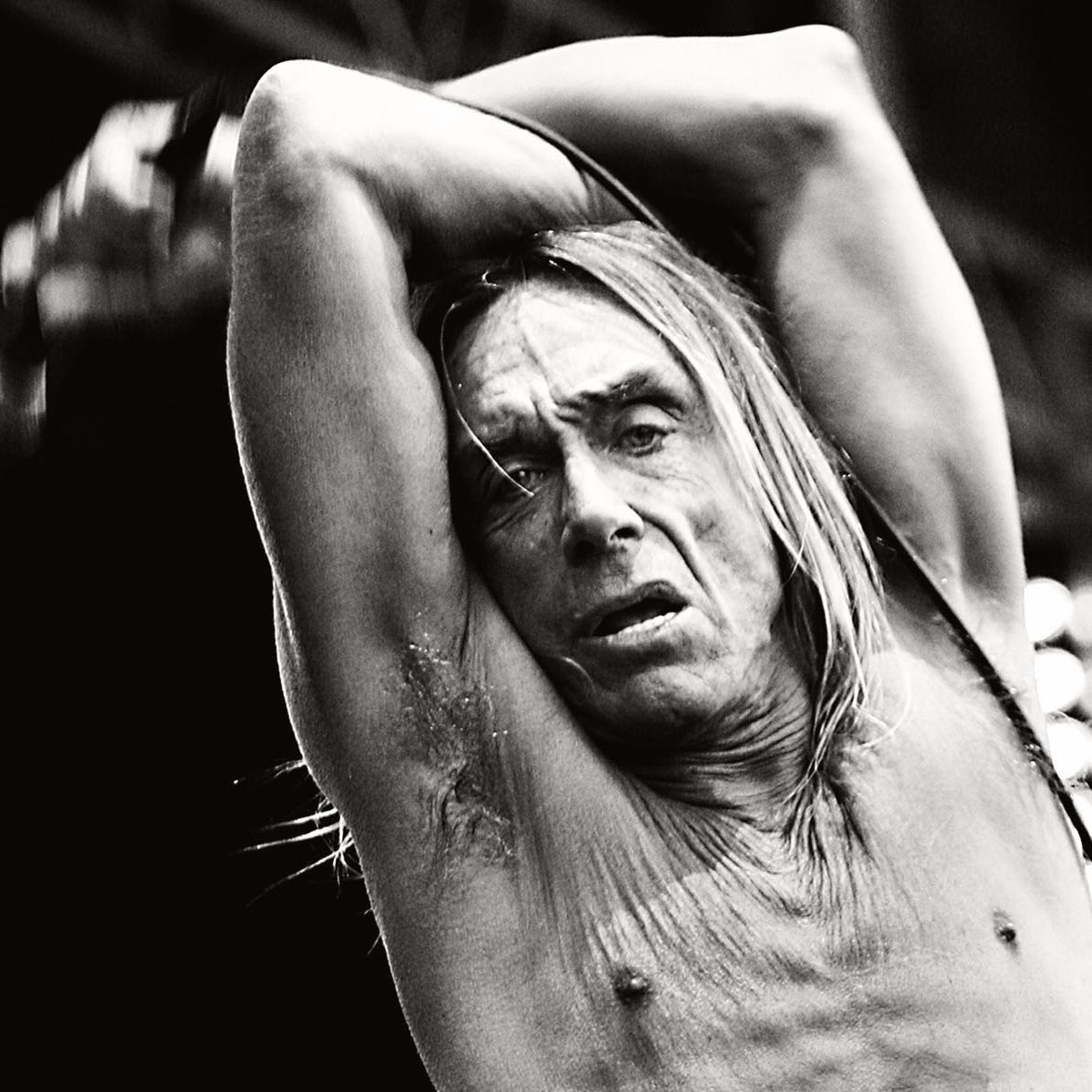 Scène musicale, 2008-2025