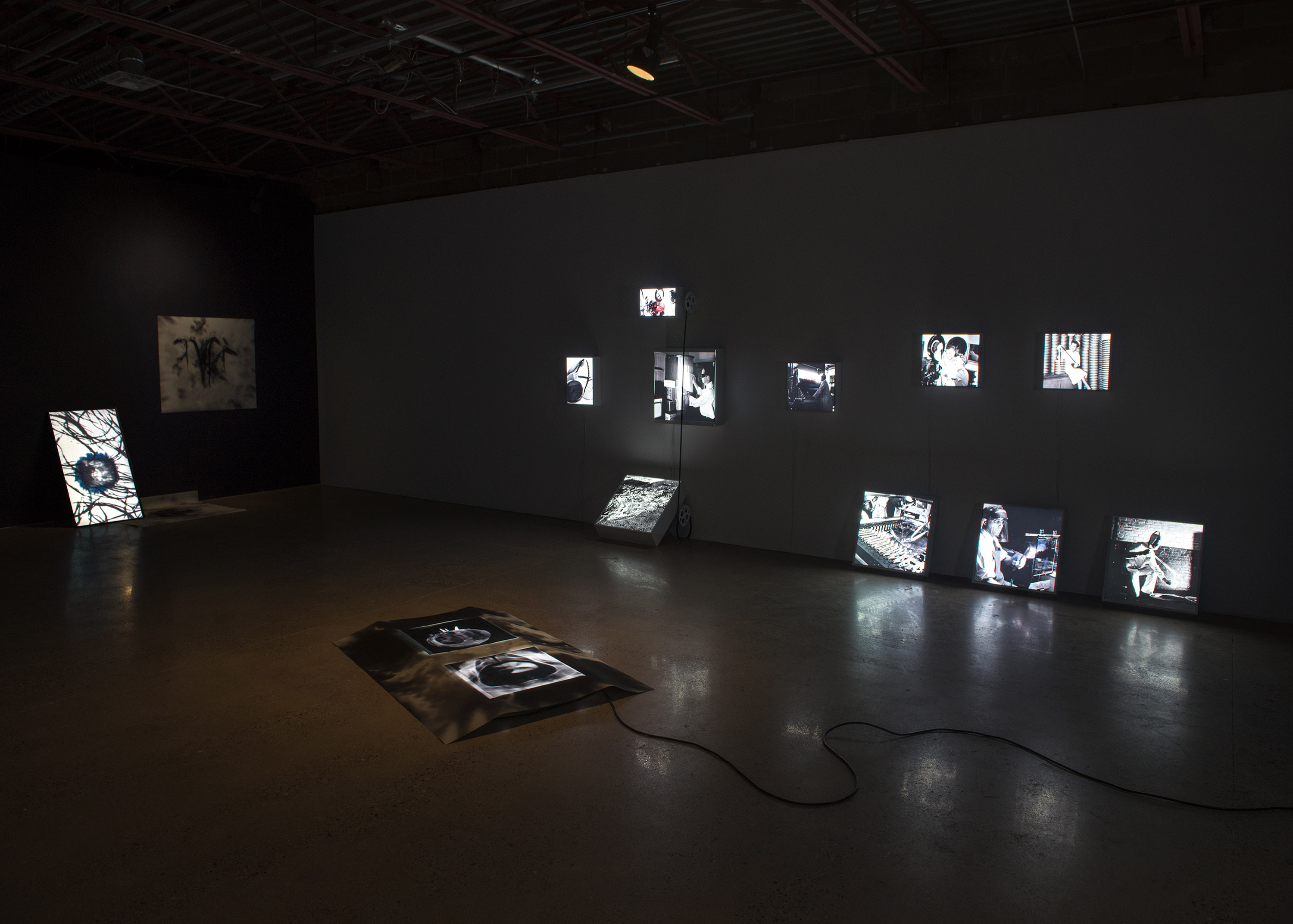 2020   |   'No Long Shadows'