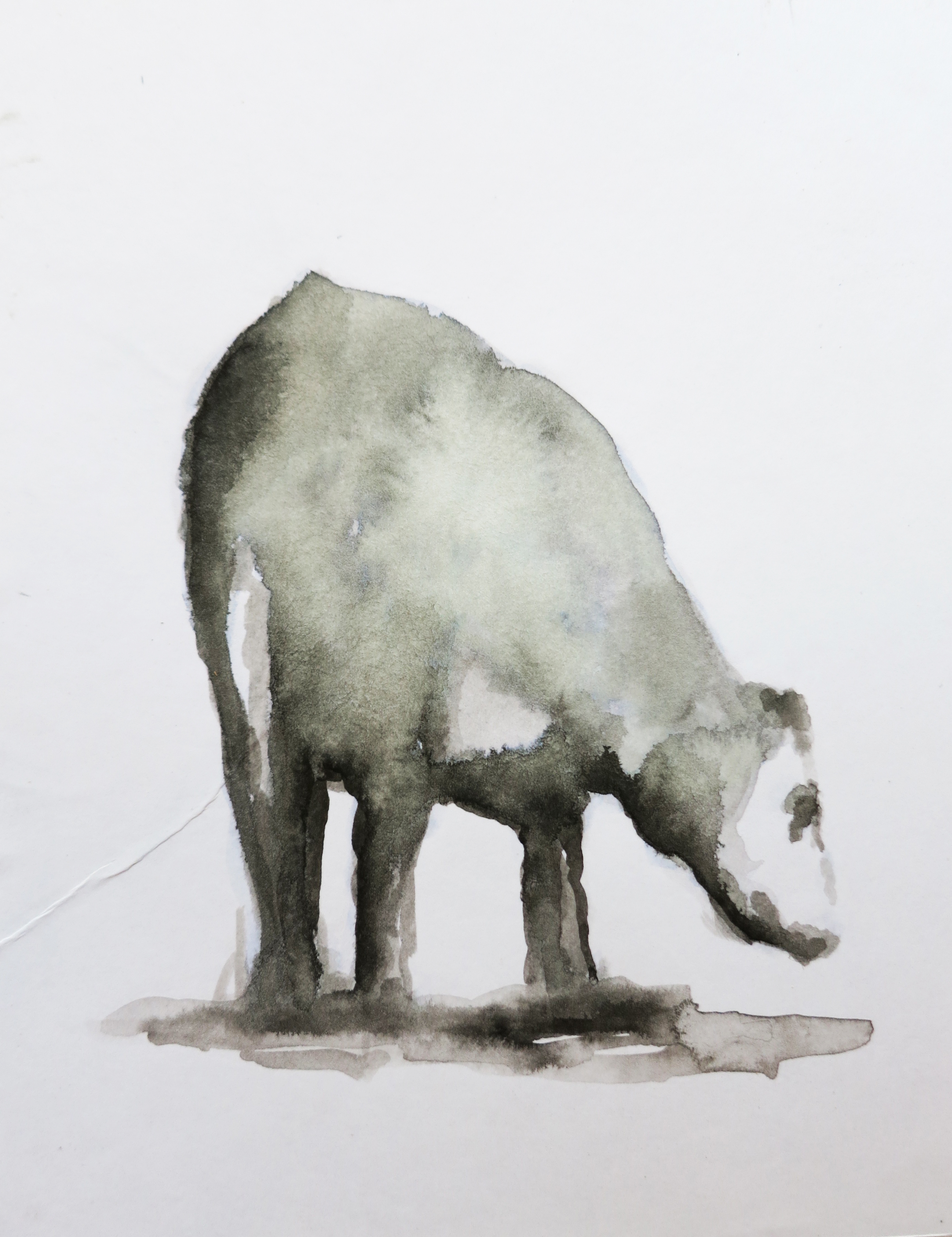  Ink on paper &ndash; 11&rdquo; x 8&rdquo; 