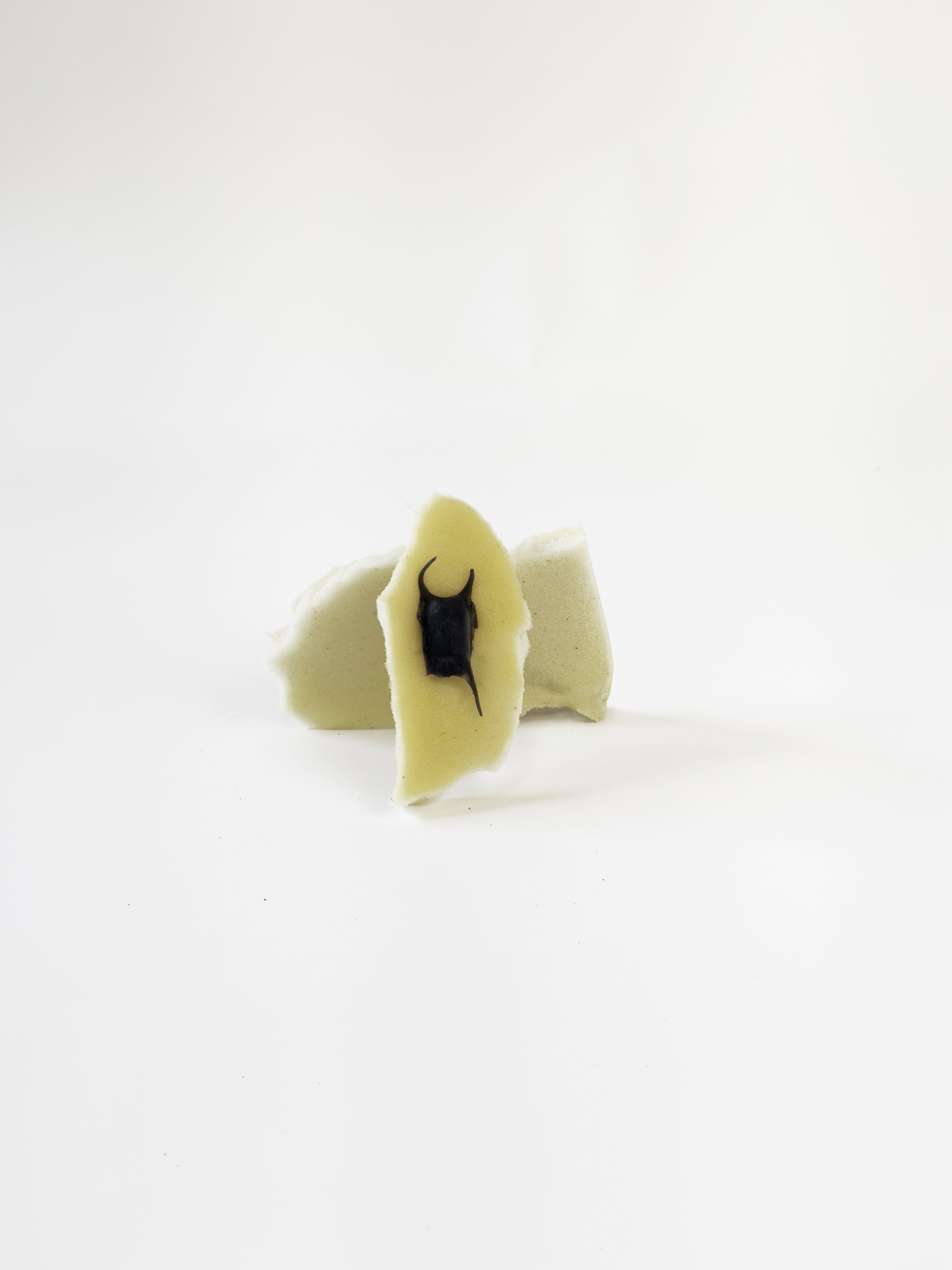 RAY EGG earring (single)