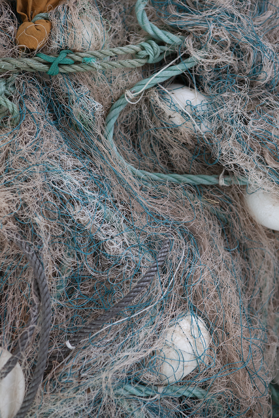 RAF STUDIO for HEIMAT-ATLANTICA PHOTOGRAPHY