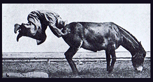 Neil Chapman & David Stent