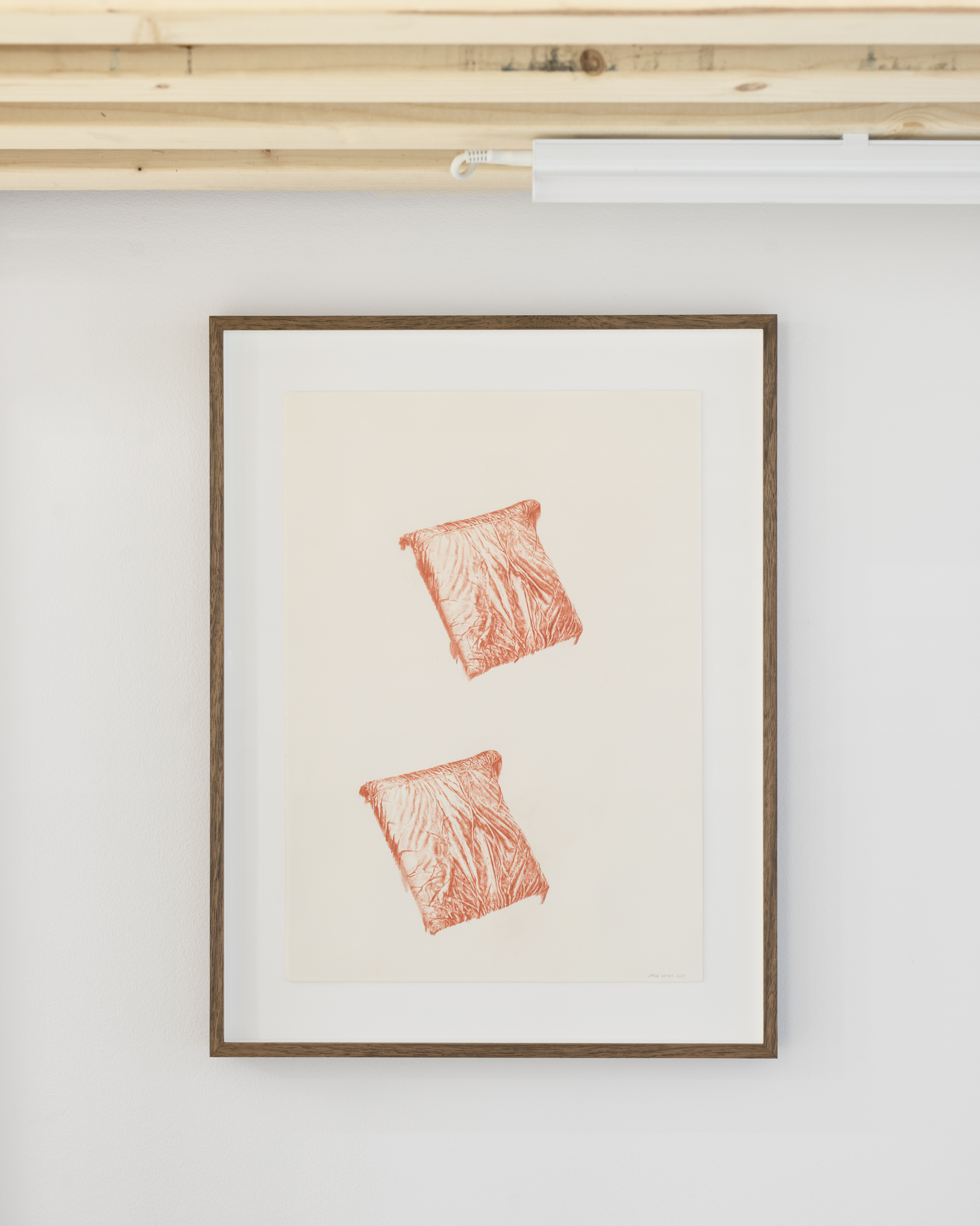 P|cture by Fabien Silvestre Suzor