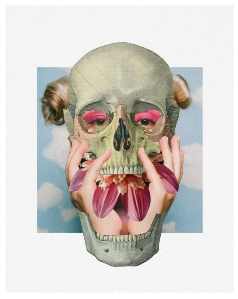 Guilherme Albuquerque