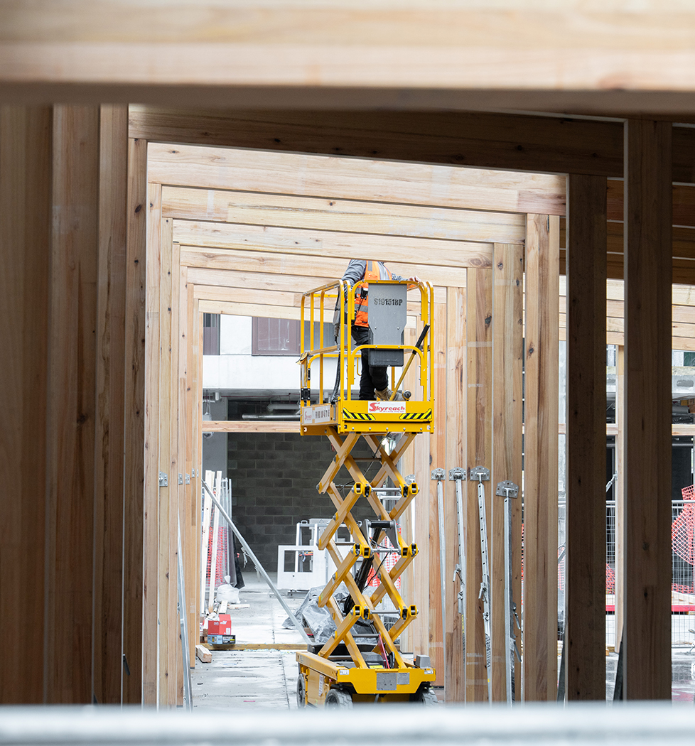 Assemble Macaulay - WIP