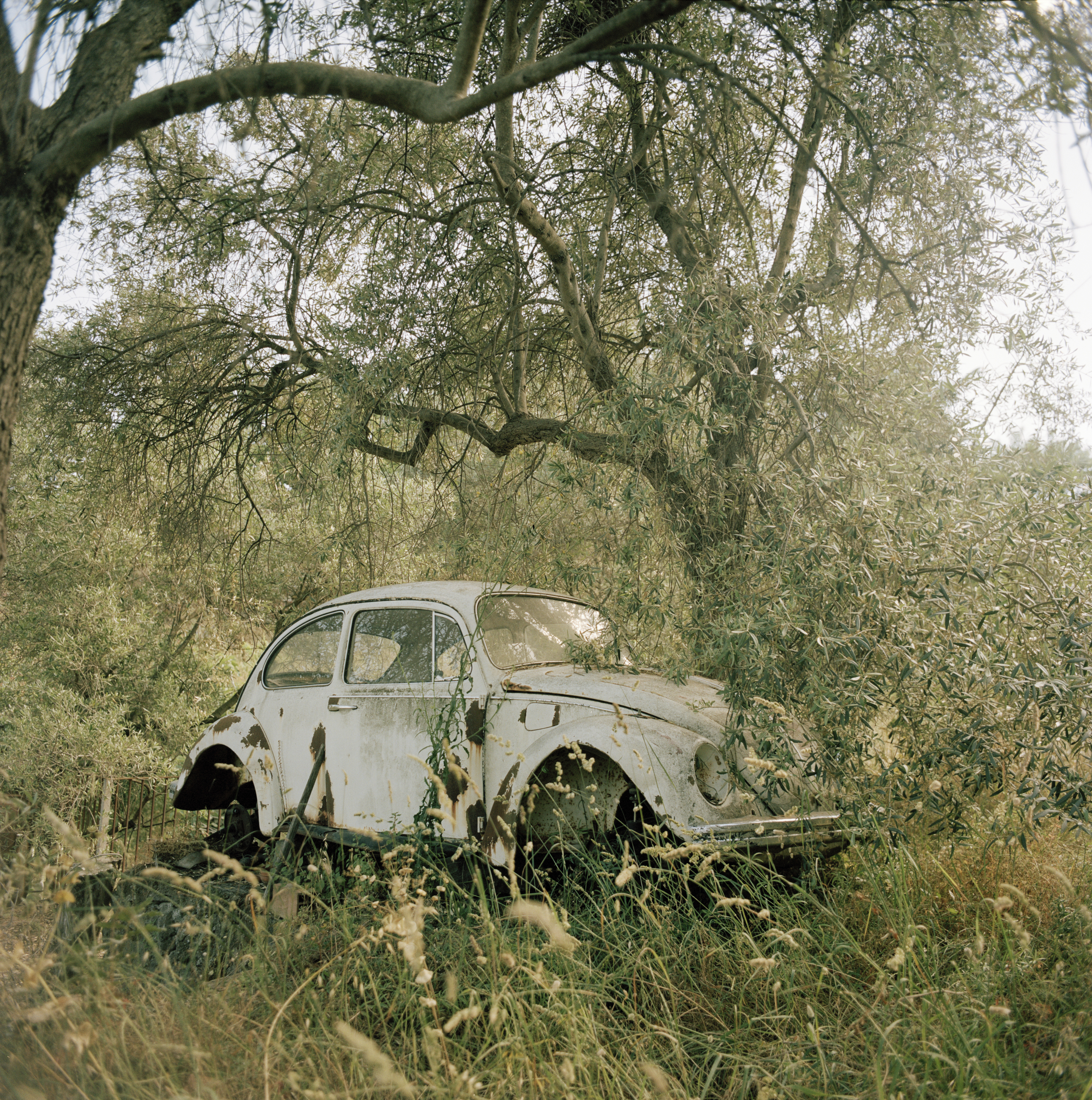 VW - Catania (Sicily) 2016