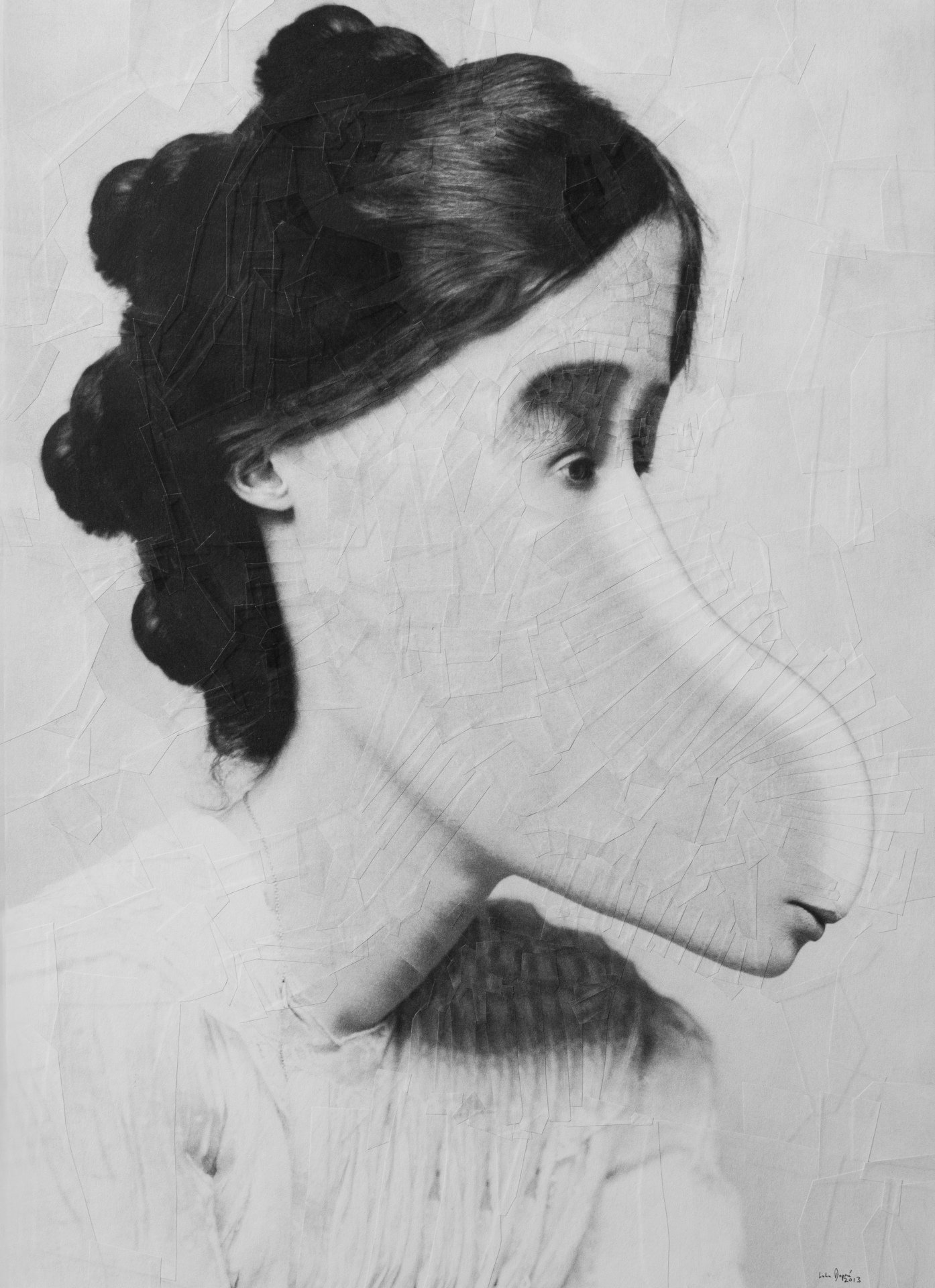 Equine Virginia Woolf, 2013, 11.5 X 16.5 inches