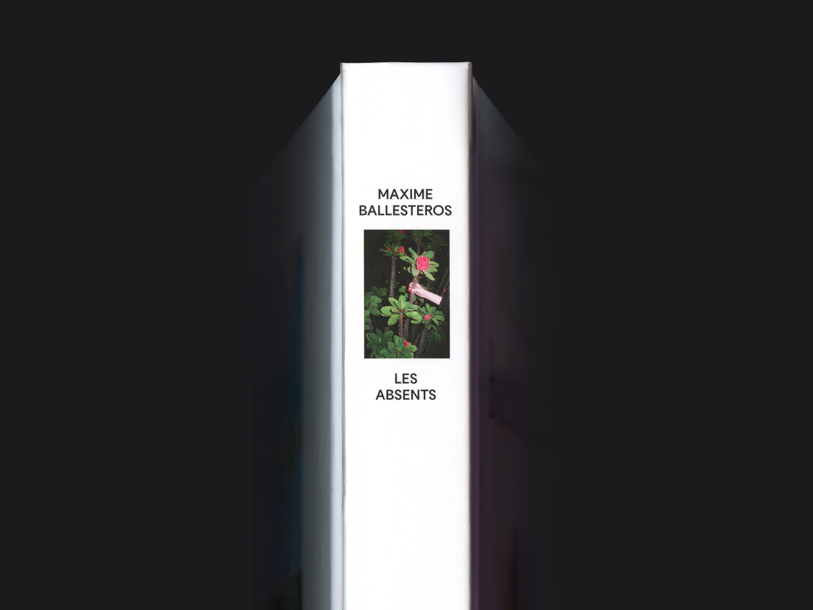 Maxime Ballesteros, Les Absents – design and layout for the artist’s first monograph Published by: Hatje Cantz & Sang Bleu. Art director: David McKendrick. Studio: B.A.M. London