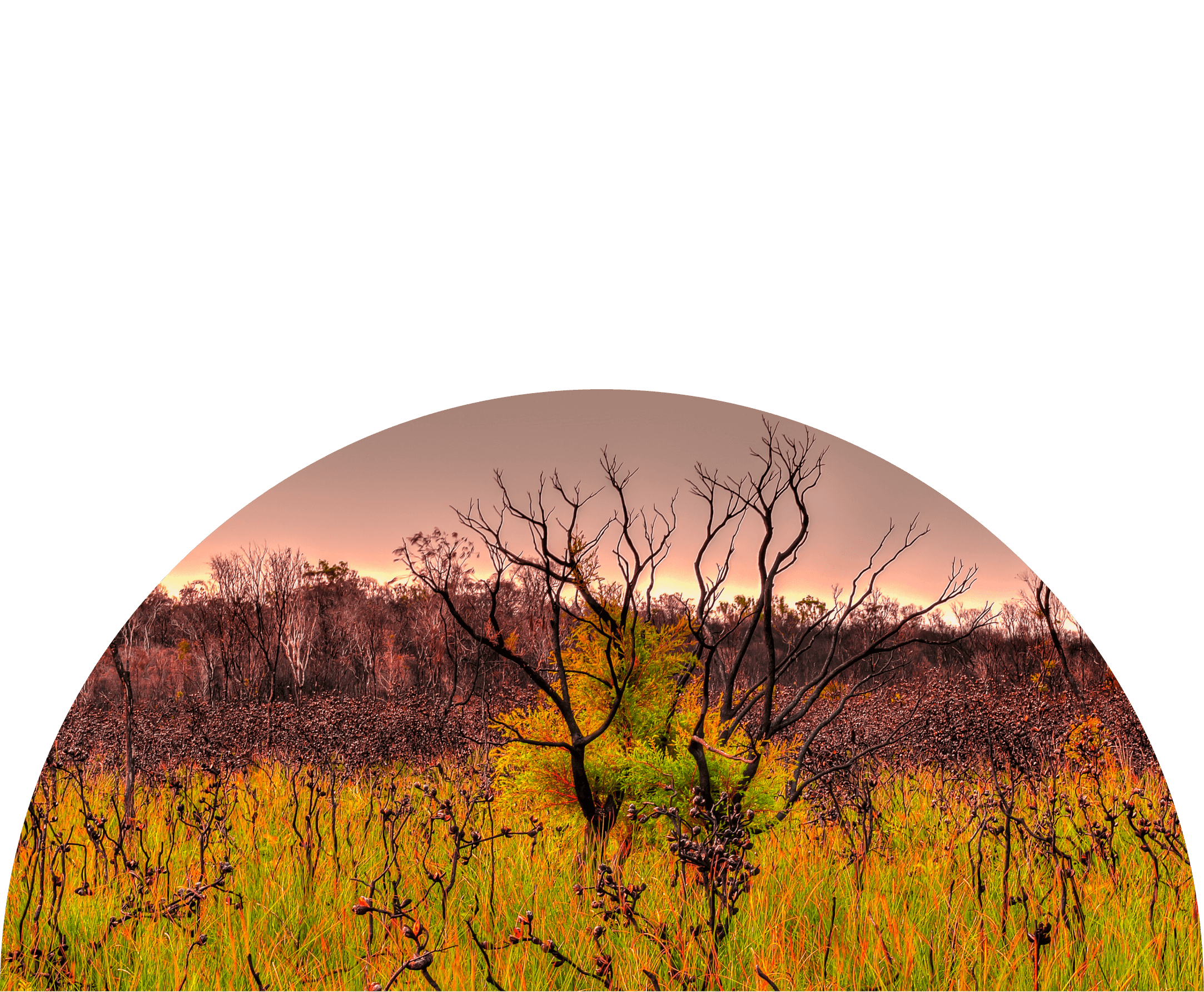 Advocacy & Education