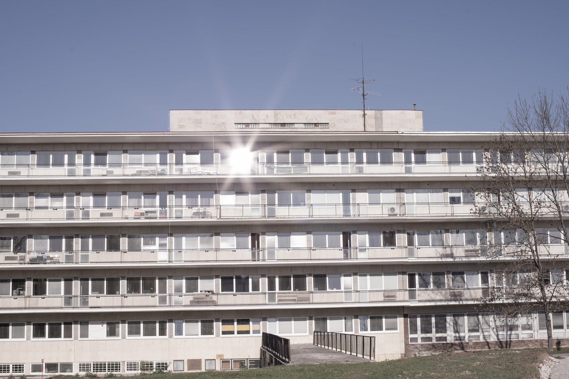 cycle of life and death