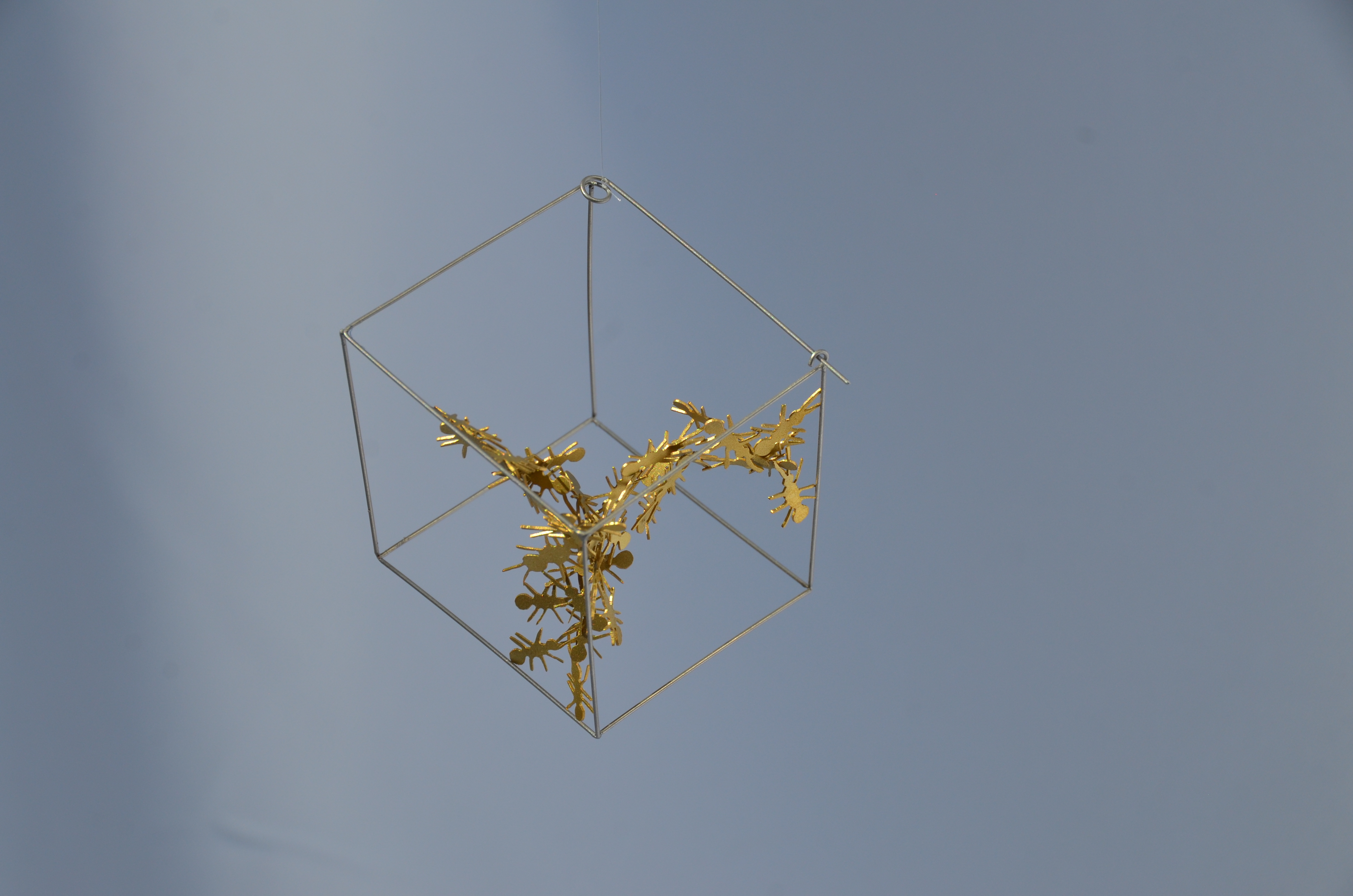 Ant Cage Brooch, Brass and Steel, 2019