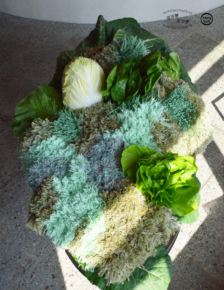 밍예스와 원형들이 전개한 «seed ball» 팝업