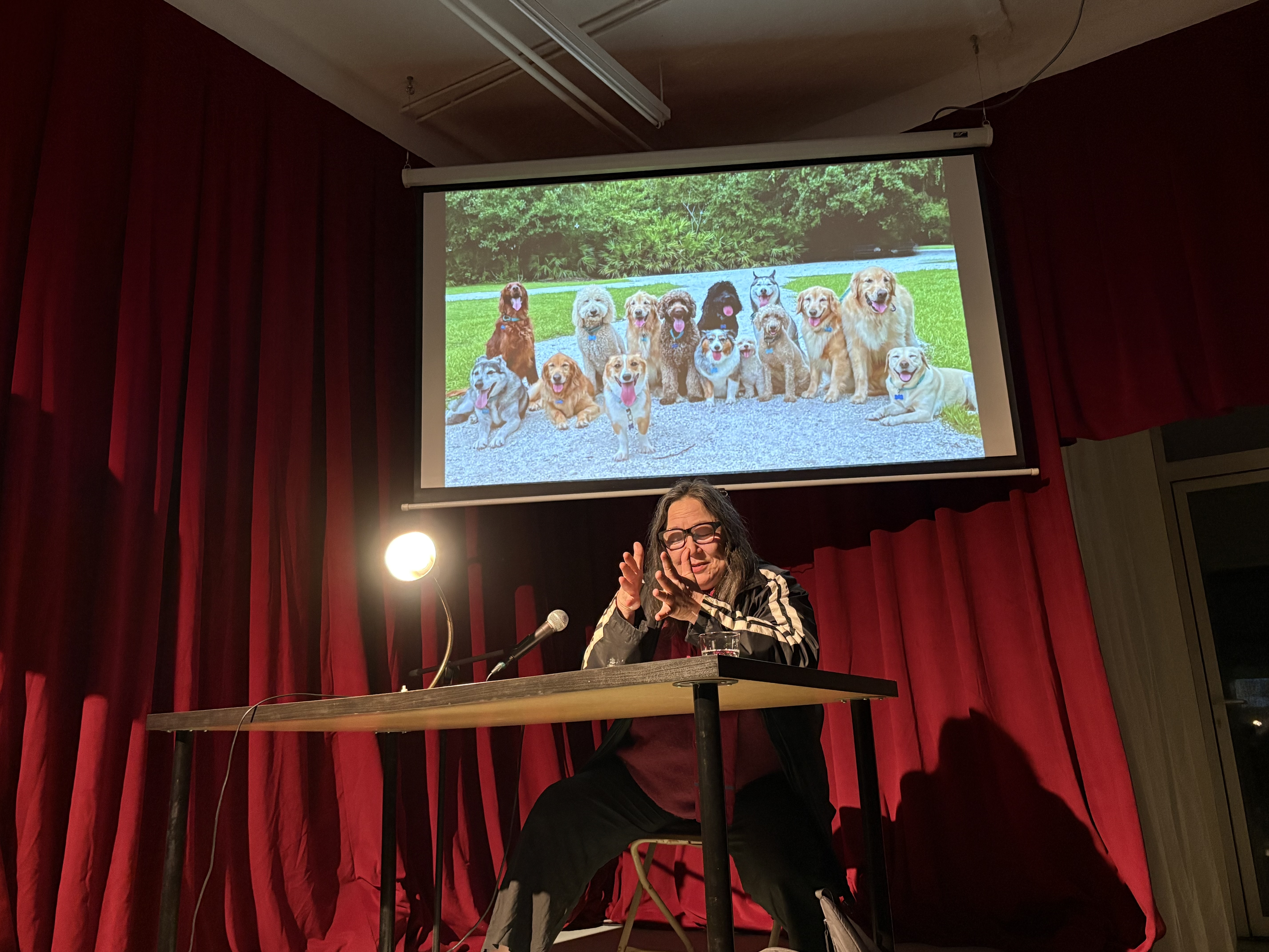 P|cture by Jolke Van Aerde