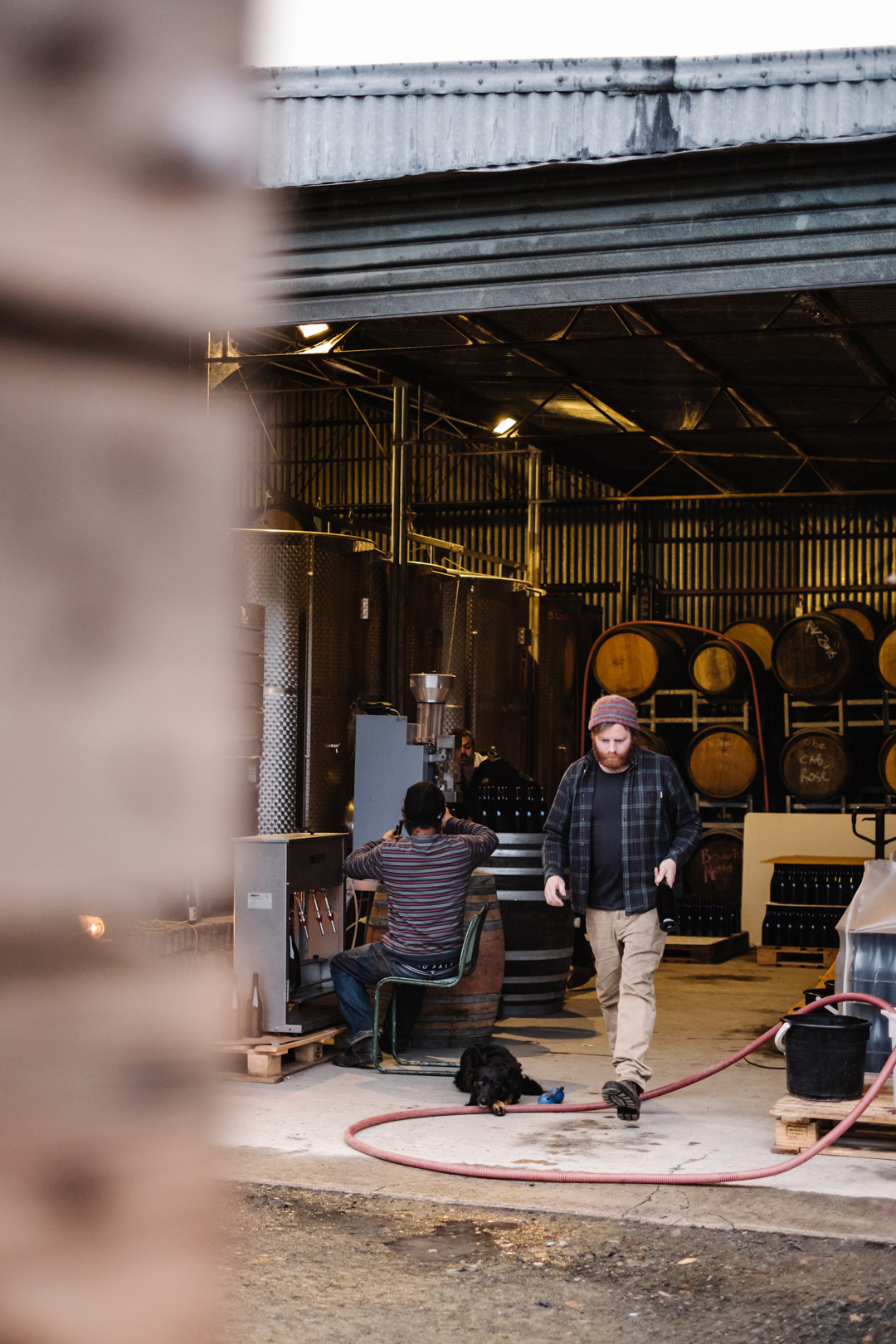 Gareth Belton makes his Gentle Folk wines deep in the valleys of Basket Range