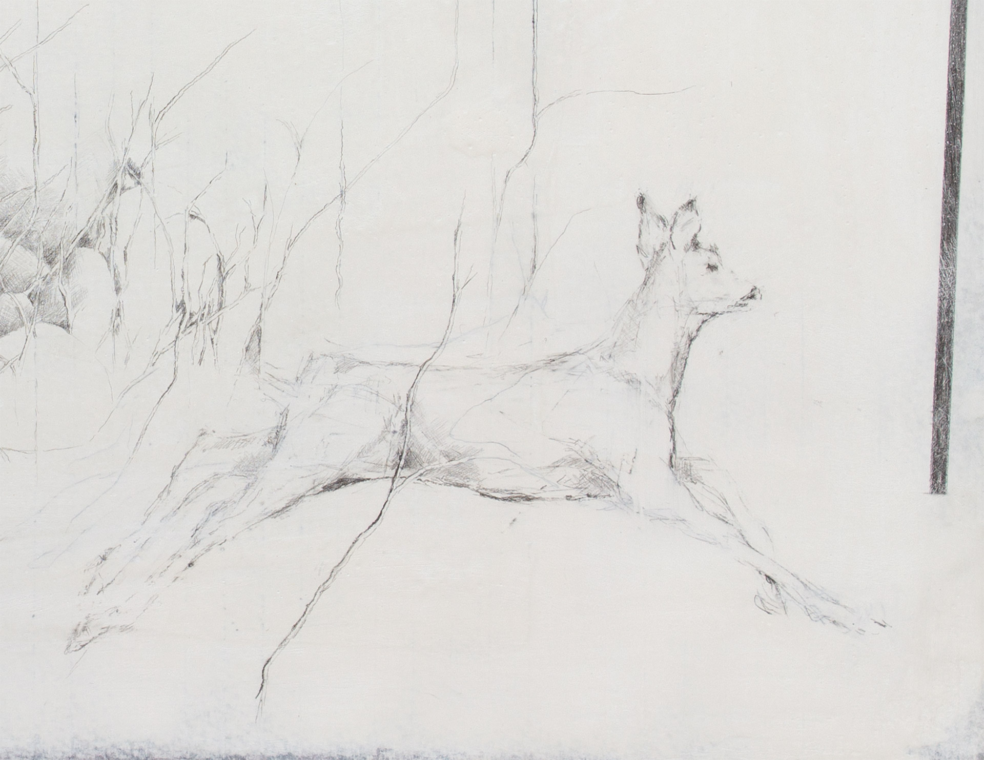 detail - Deer running, stretched paper with gesso and graphite, 14” x 8”